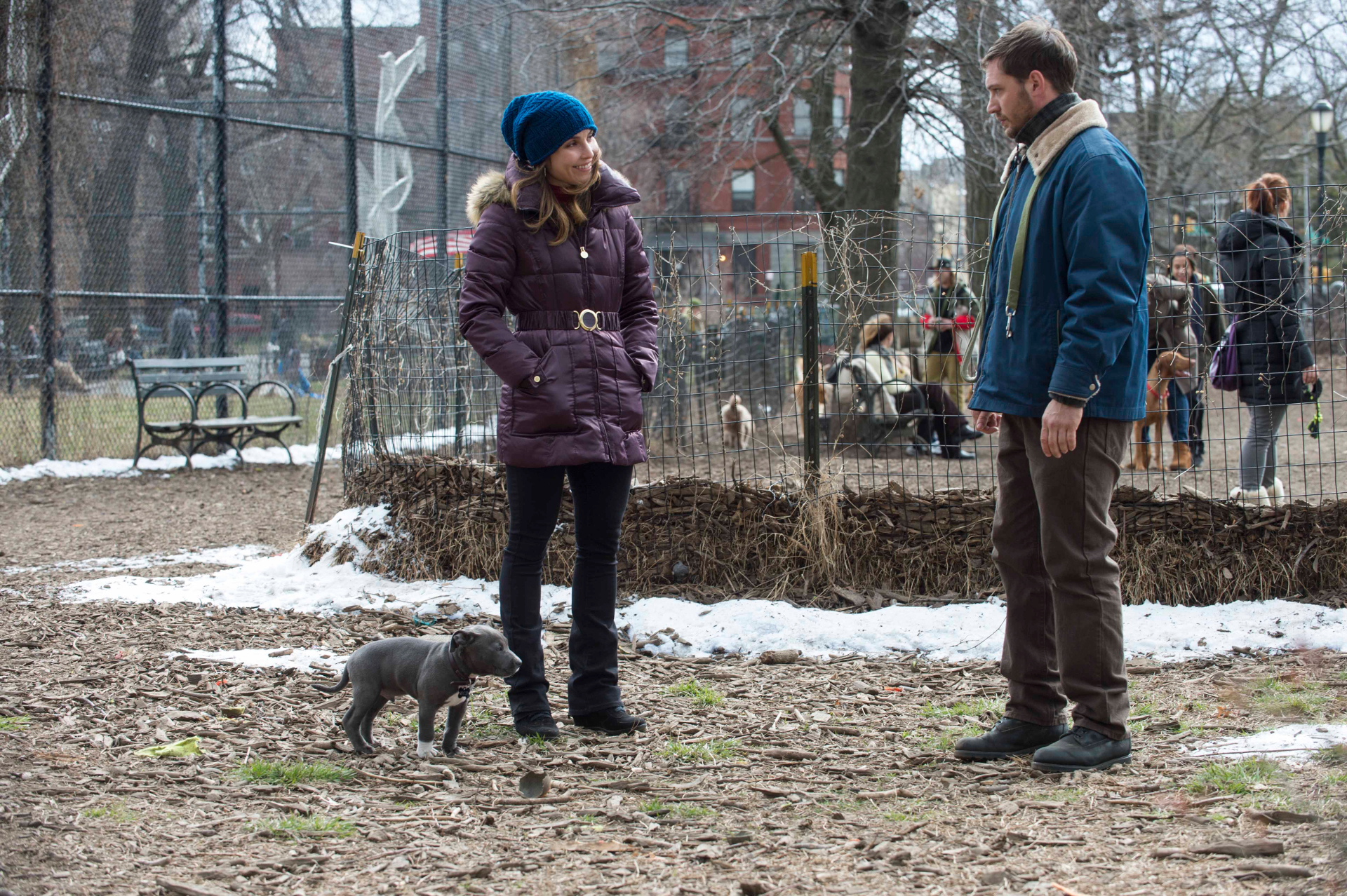 Woman and man in a dog park with a puppy HD Wallpaper
