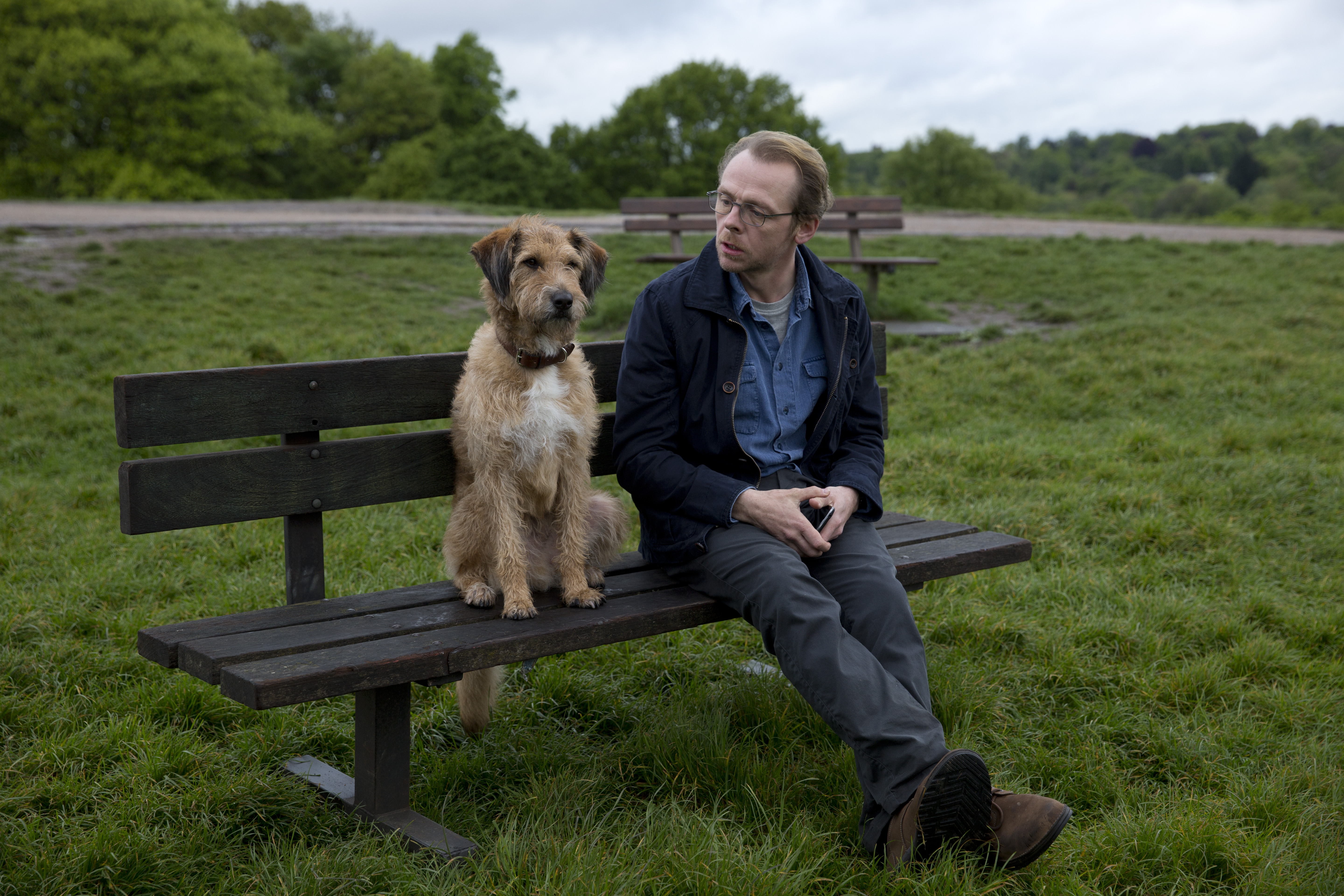 Simon Pegg and dog sitting on a park bench HD Wallpaper