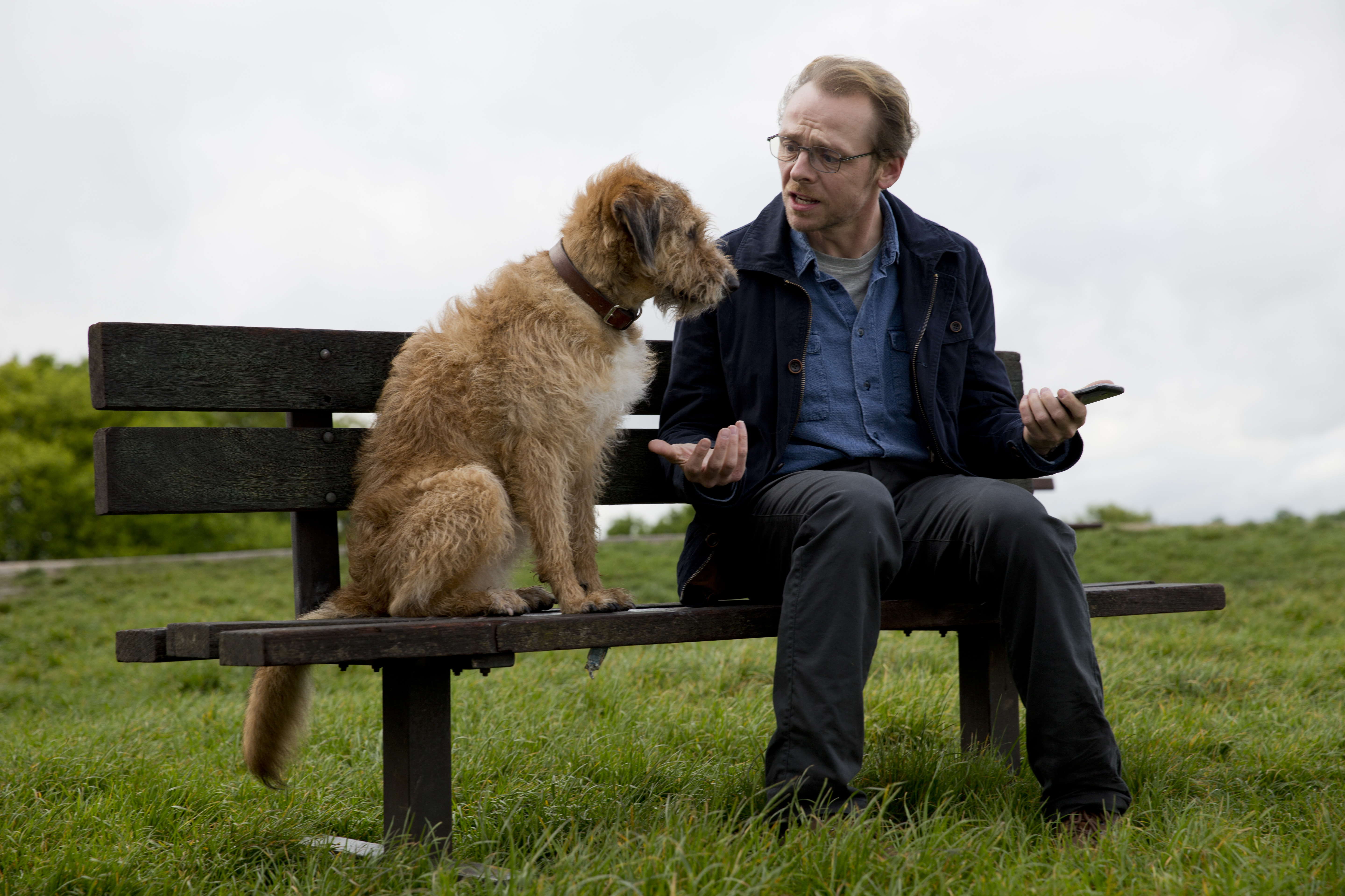 Simon Pegg with a dog on a bench HD Wallpaper