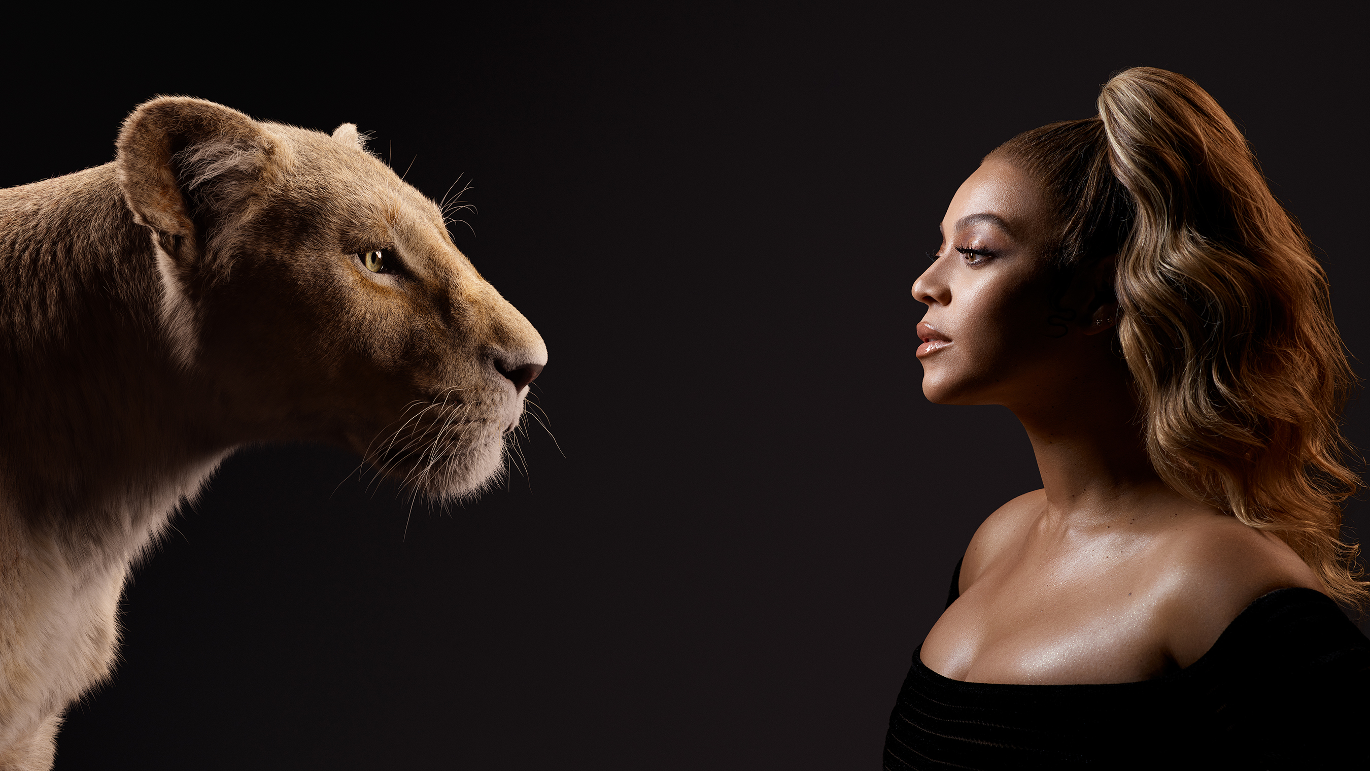 Beyoncé and a lioness HD Wallpaper