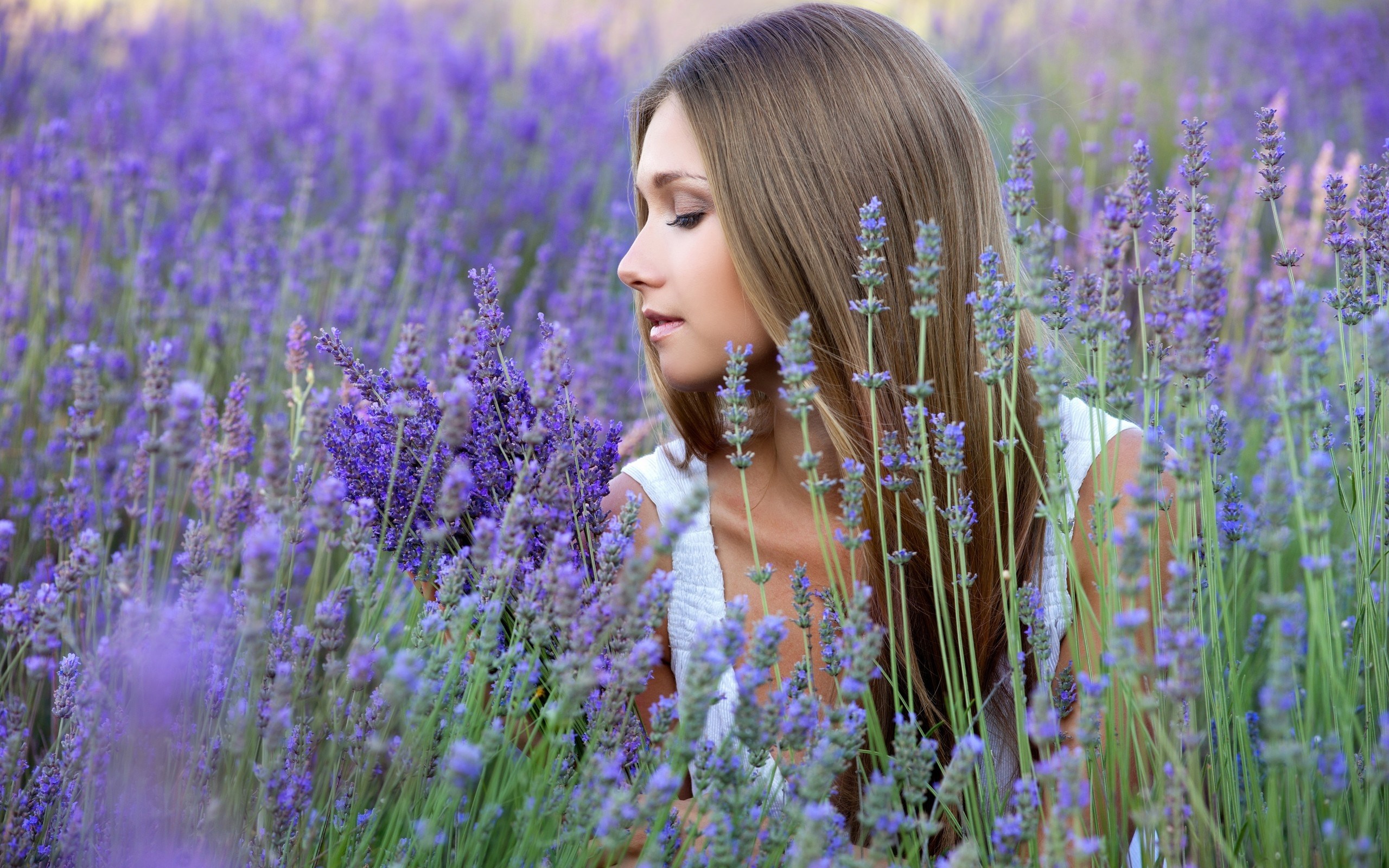 Woman in a lavender field HD Wallpaper