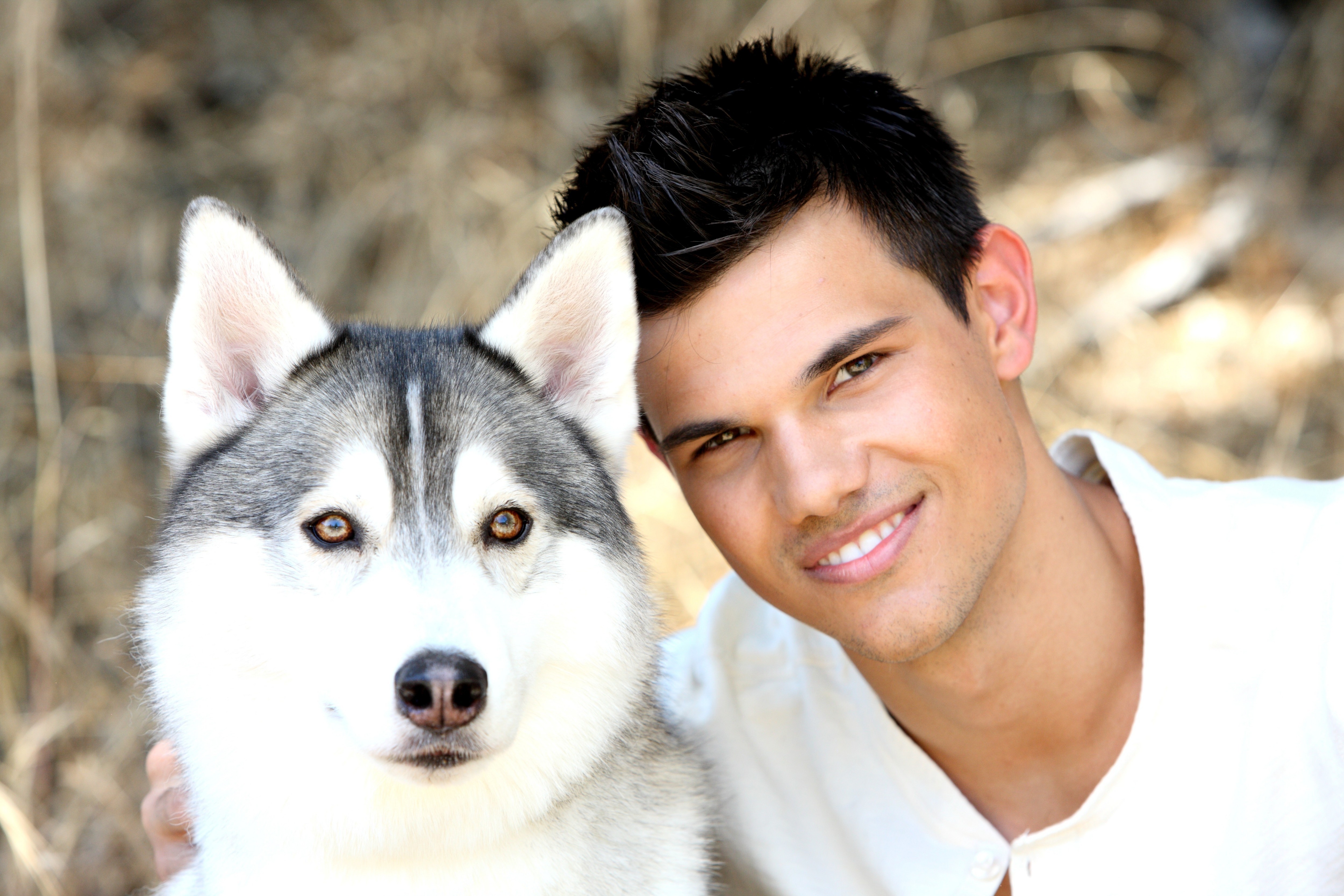 Taylor Lautner with a Husky HD Wallpaper