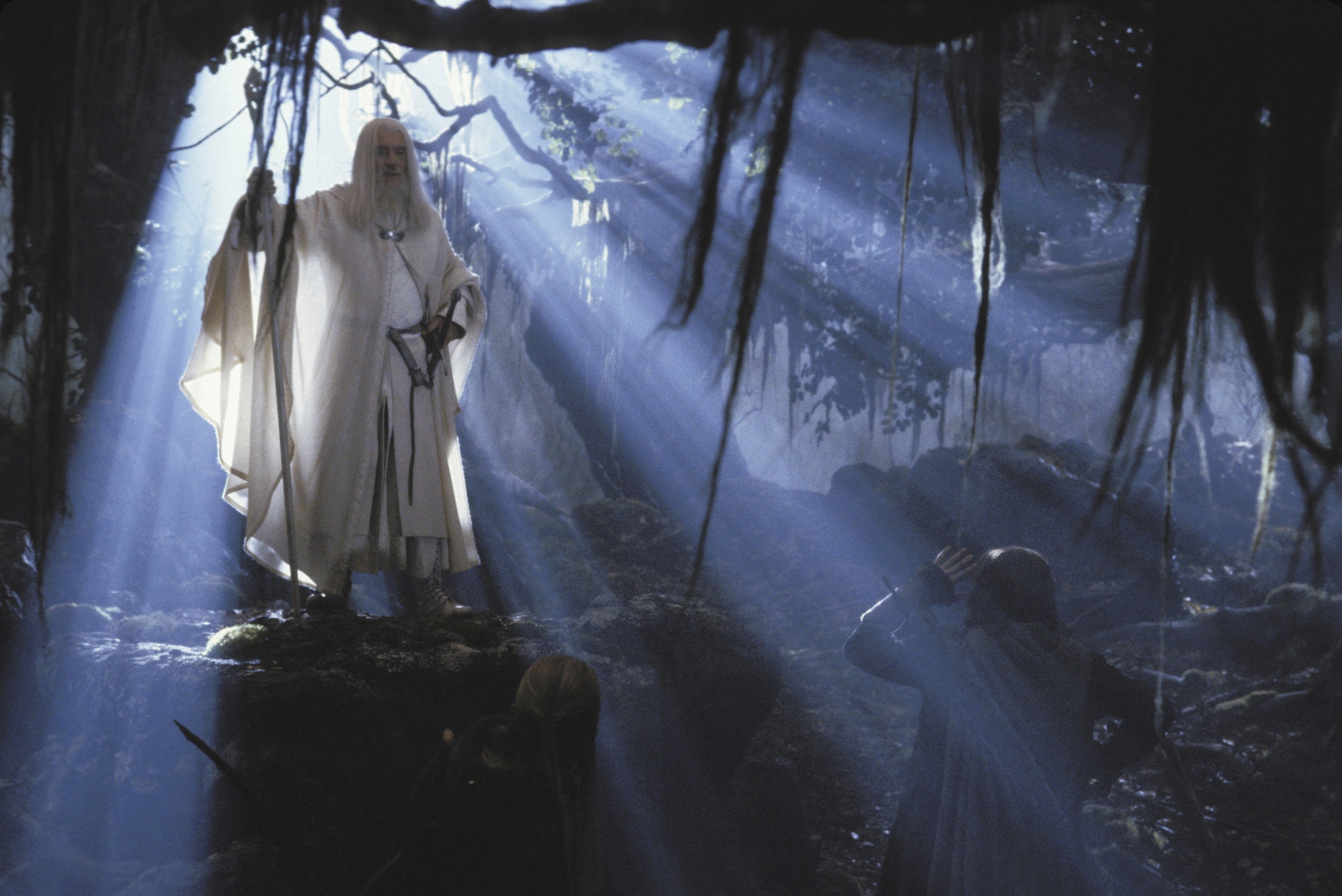 Gandalf from The Lord of the Rings in a forest HD Wallpaper