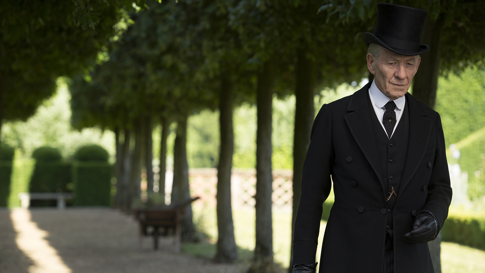 Ian McKellen in a formal suit and top hat HD Wallpaper