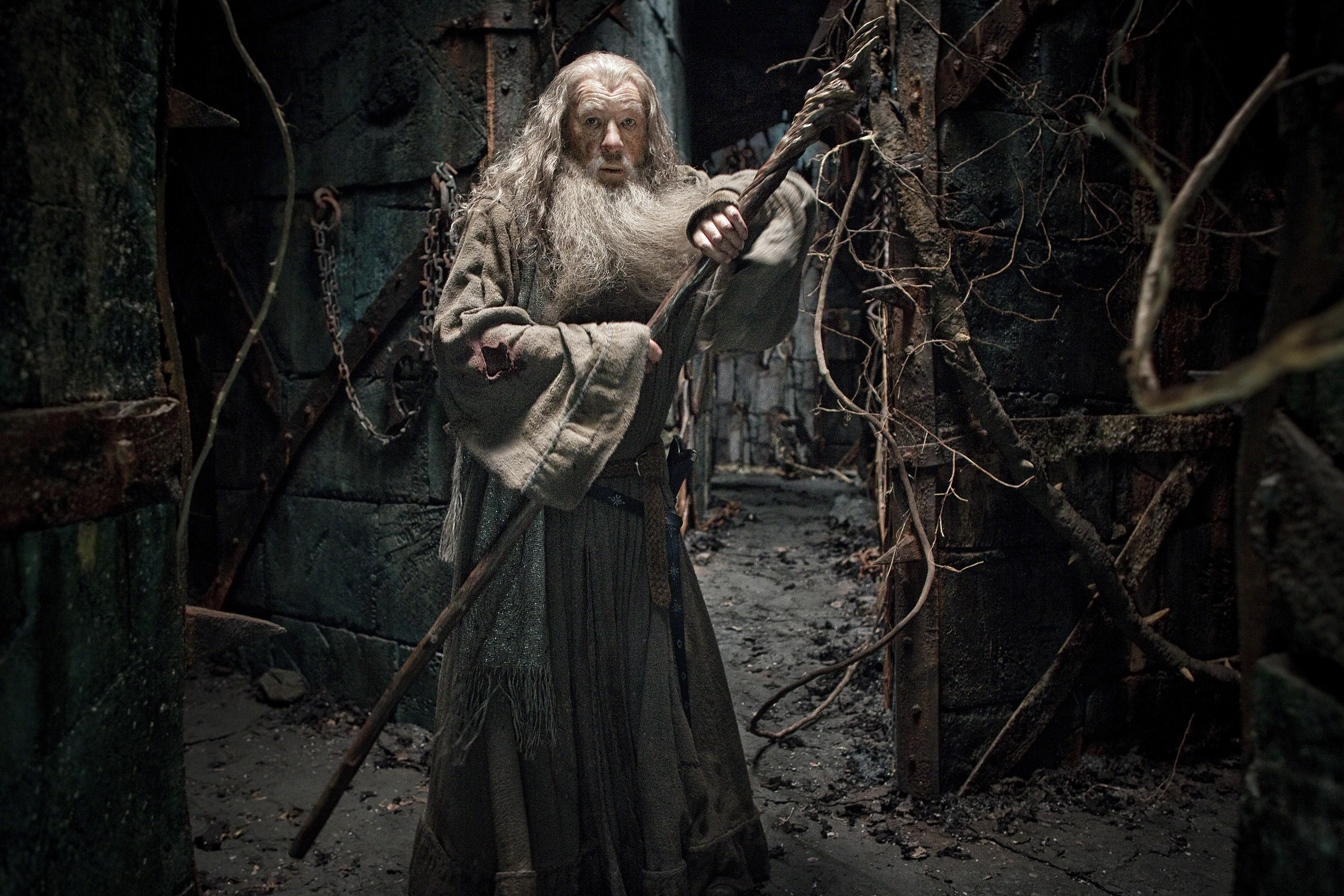 Gandalf the Grey from The Lord of the Rings HD Wallpaper