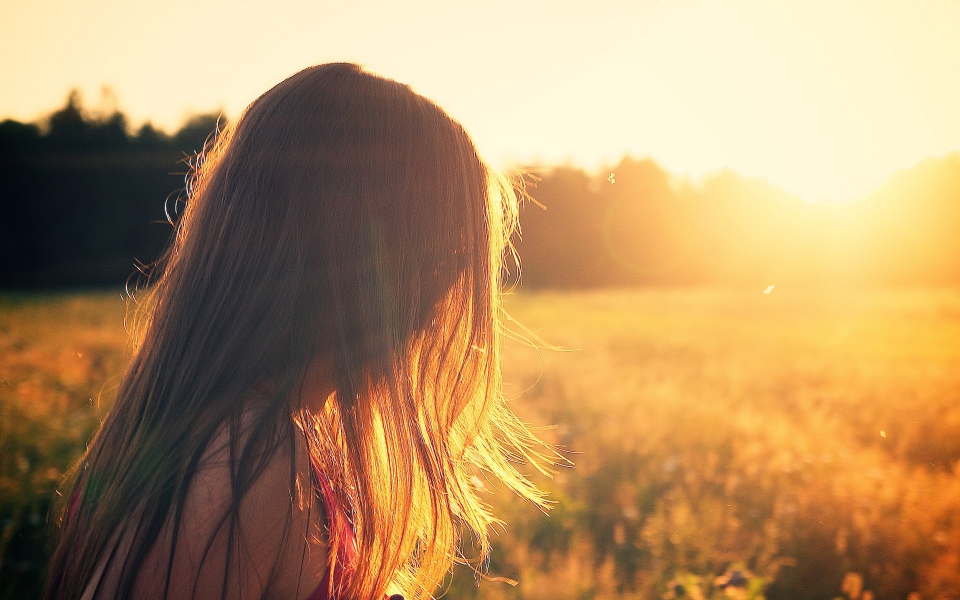 Girl in a field at sunset HD Wallpaper