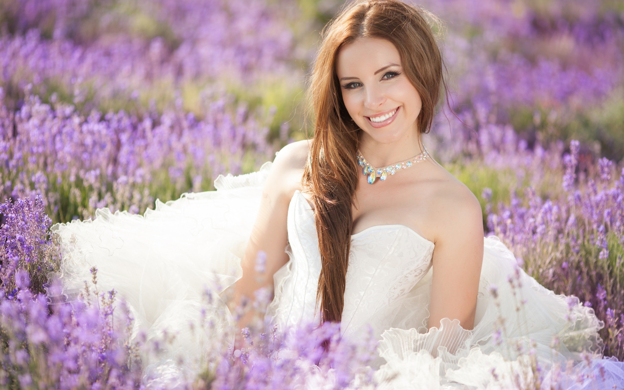 Bride in a white dress in a lavender field HD Wallpaper