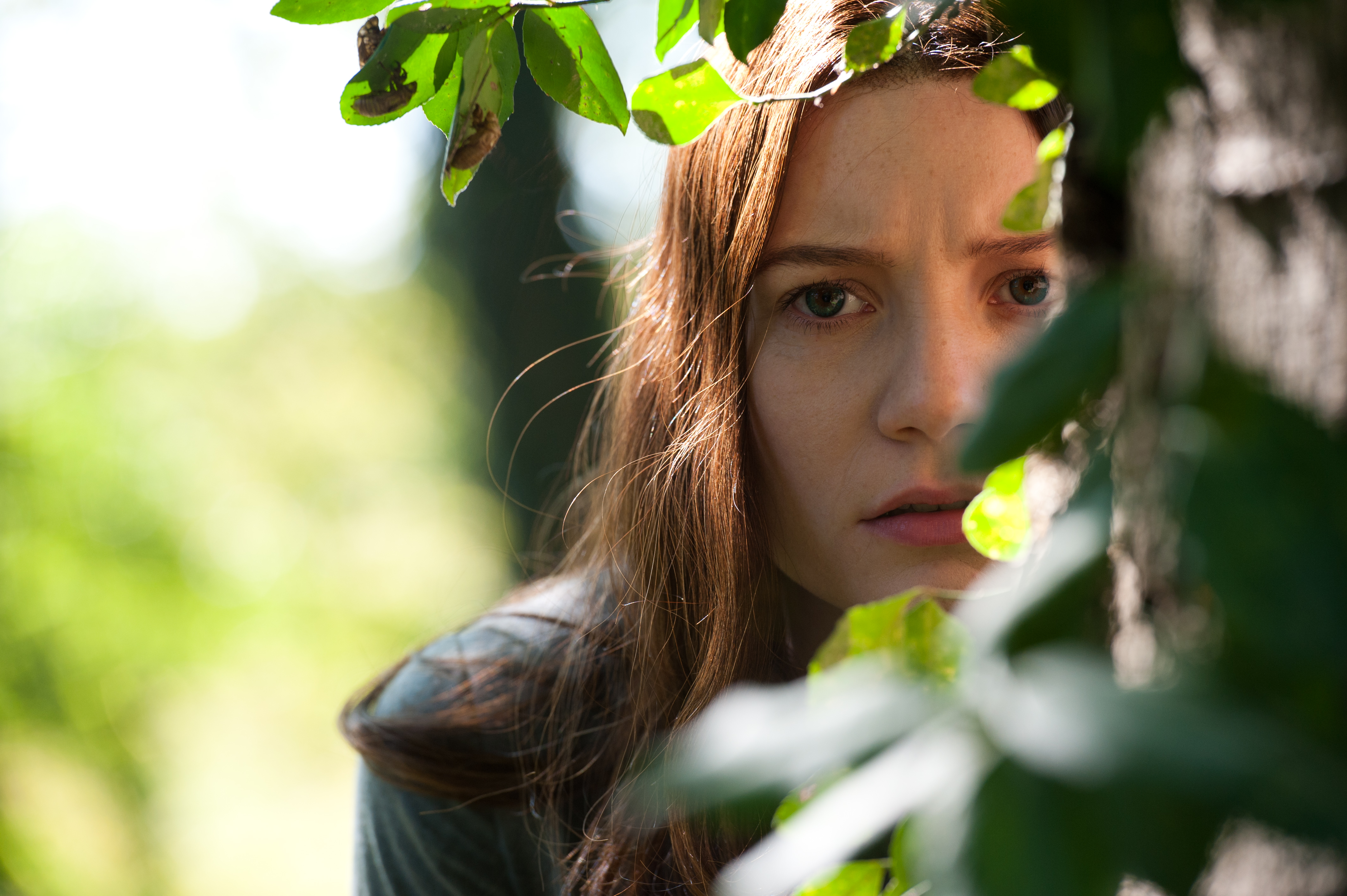 Mia Wasikowska peeking from behind leaves HD Wallpaper
