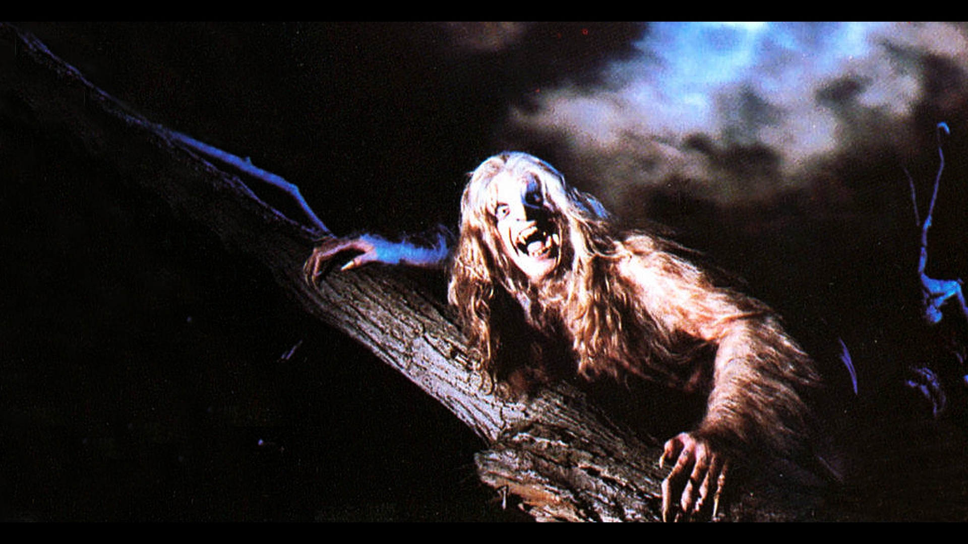 Ozzy Osbourne in Dark Creepy Forest Scene HD Wallpaper