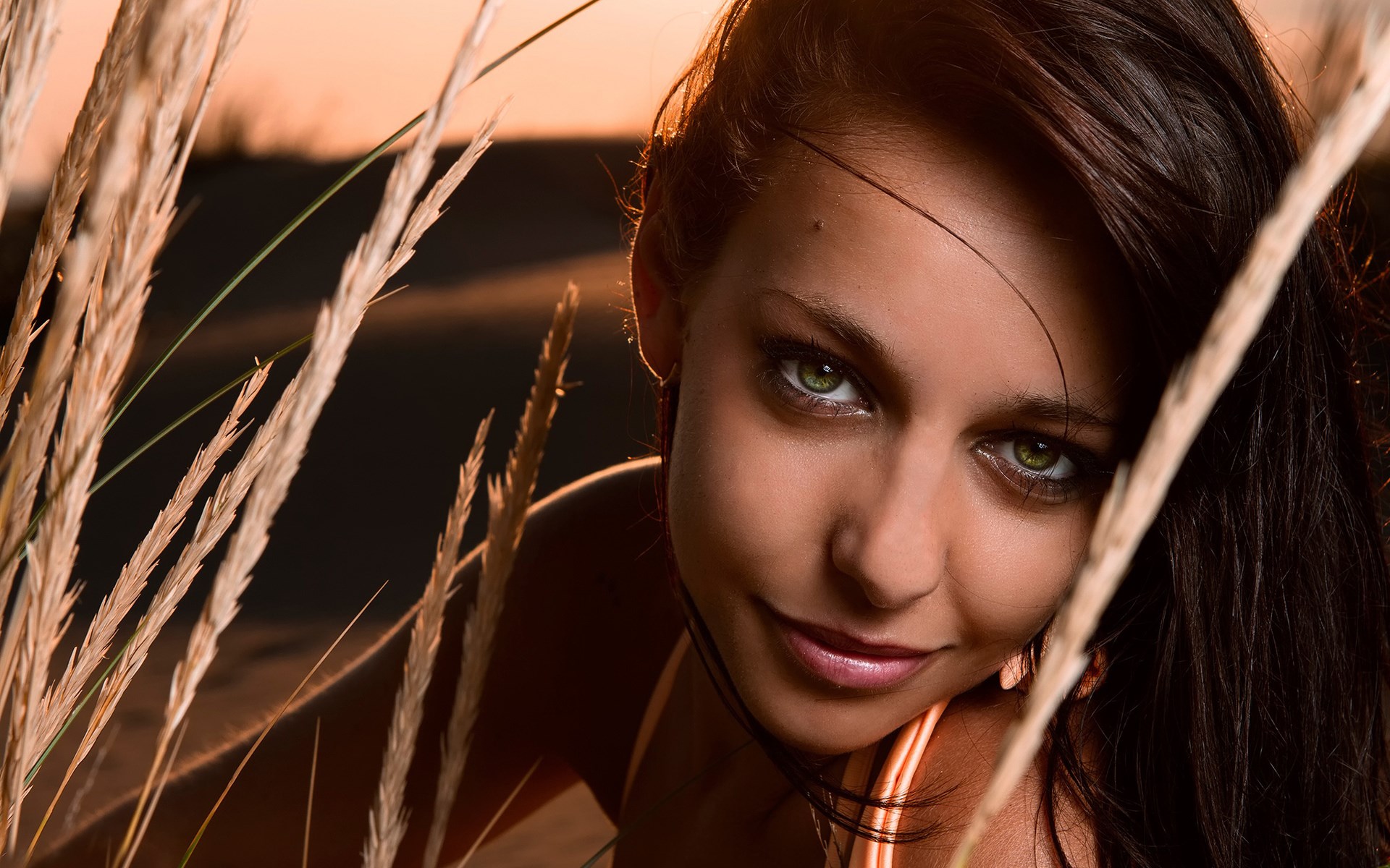 Woman with green eyes behind tall grass HD Wallpaper