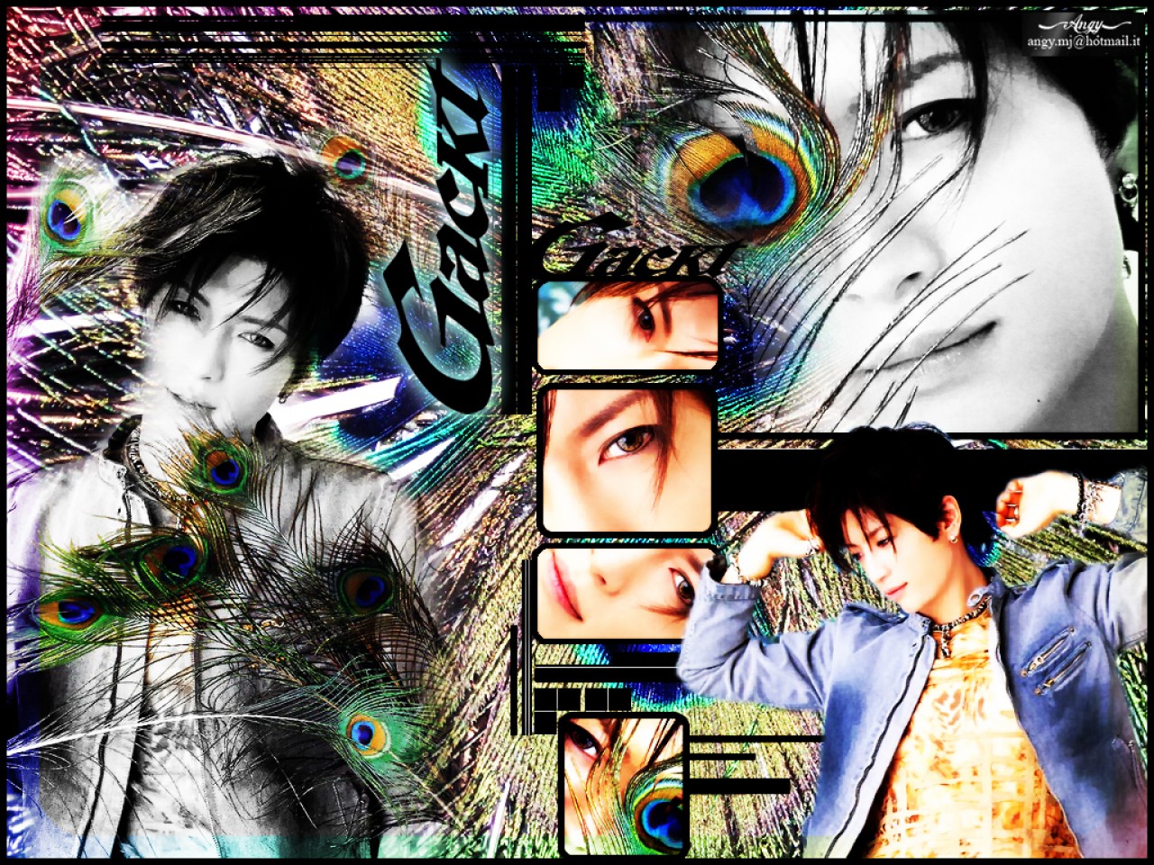 Gackt Camui with Peacock Feathers HD Wallpaper