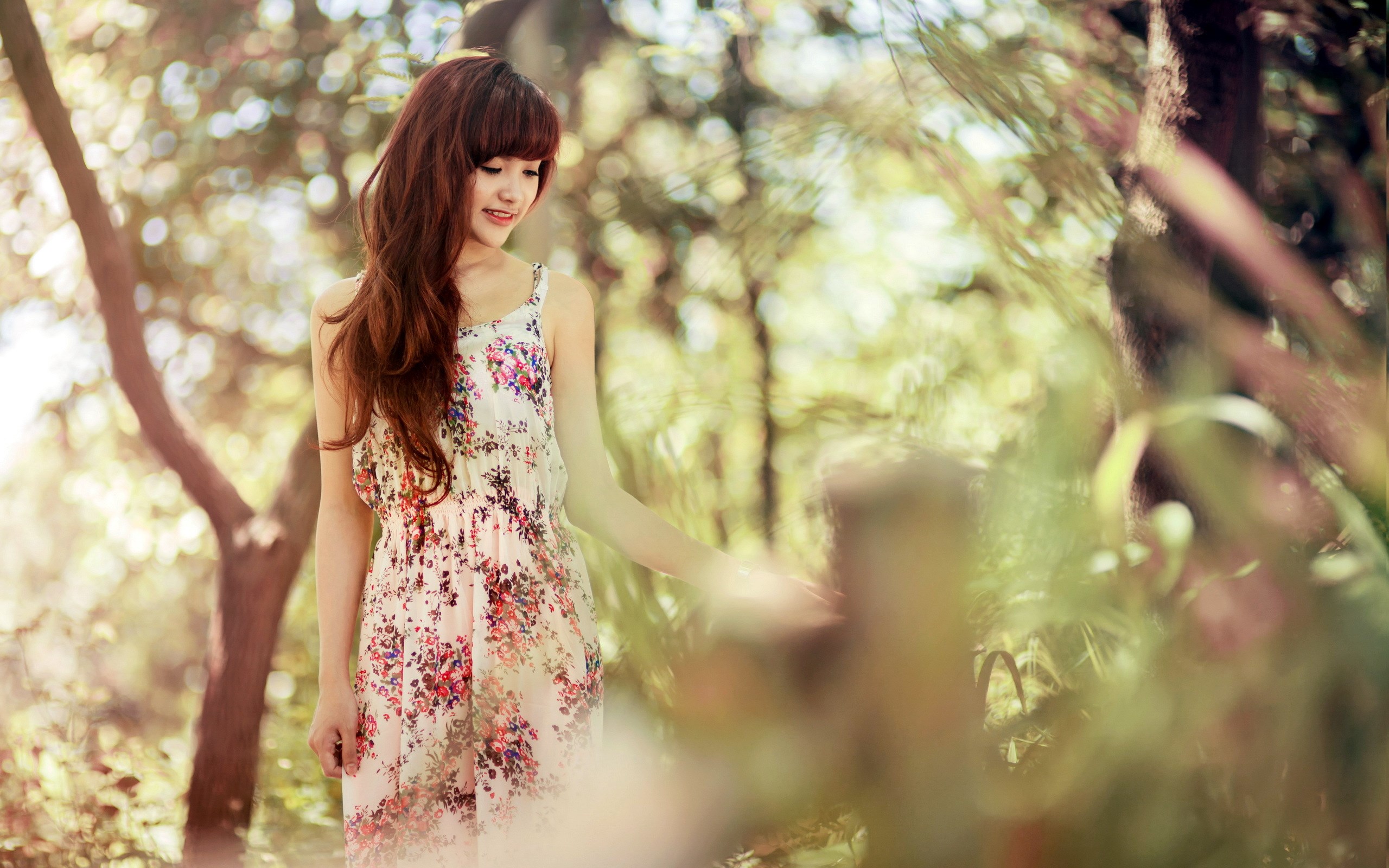 Young woman in a floral dress in a sunlit forest HD Wallpaper