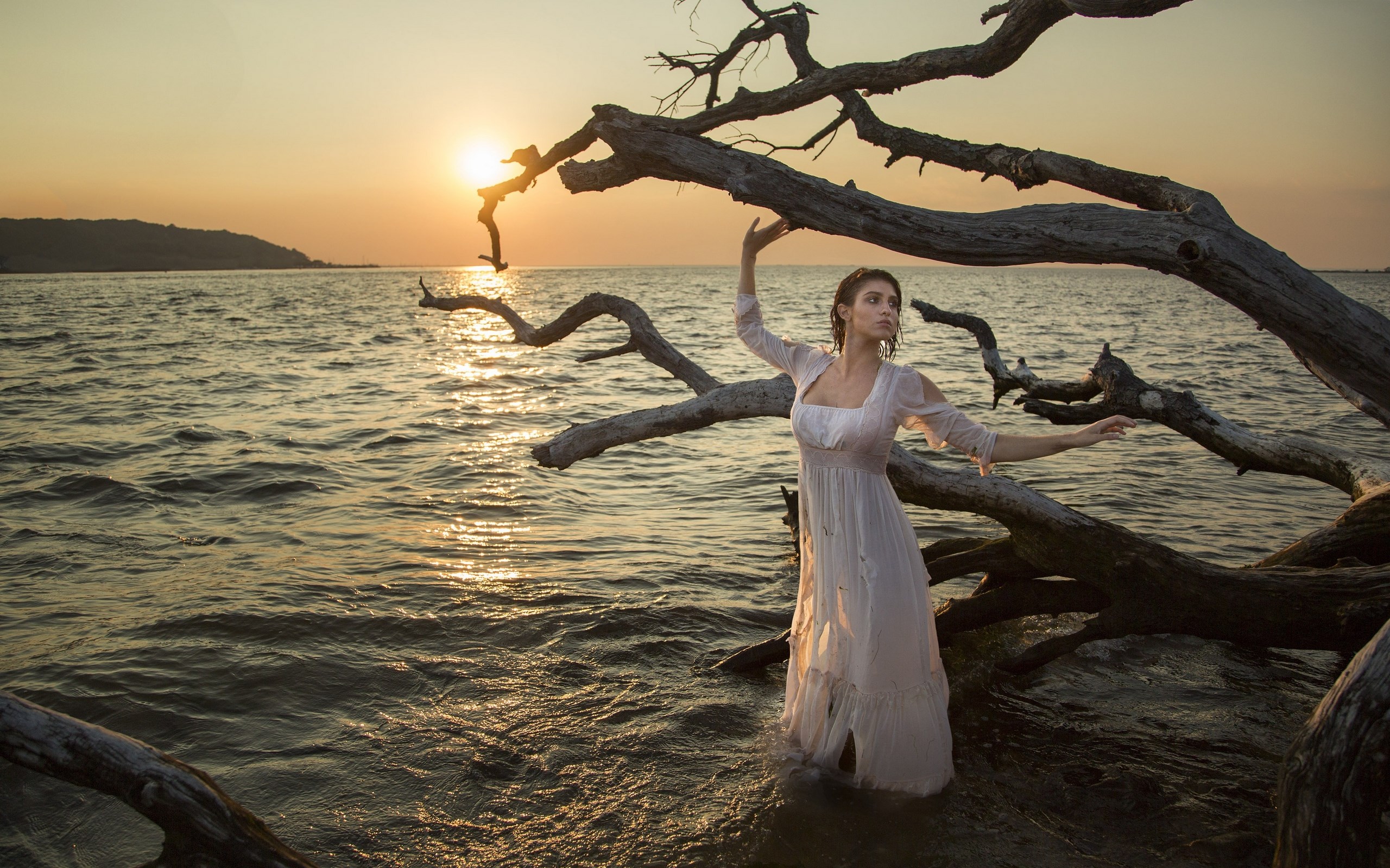 Woman in white dress standing in water near driftwood at sunset HD Wallpaper