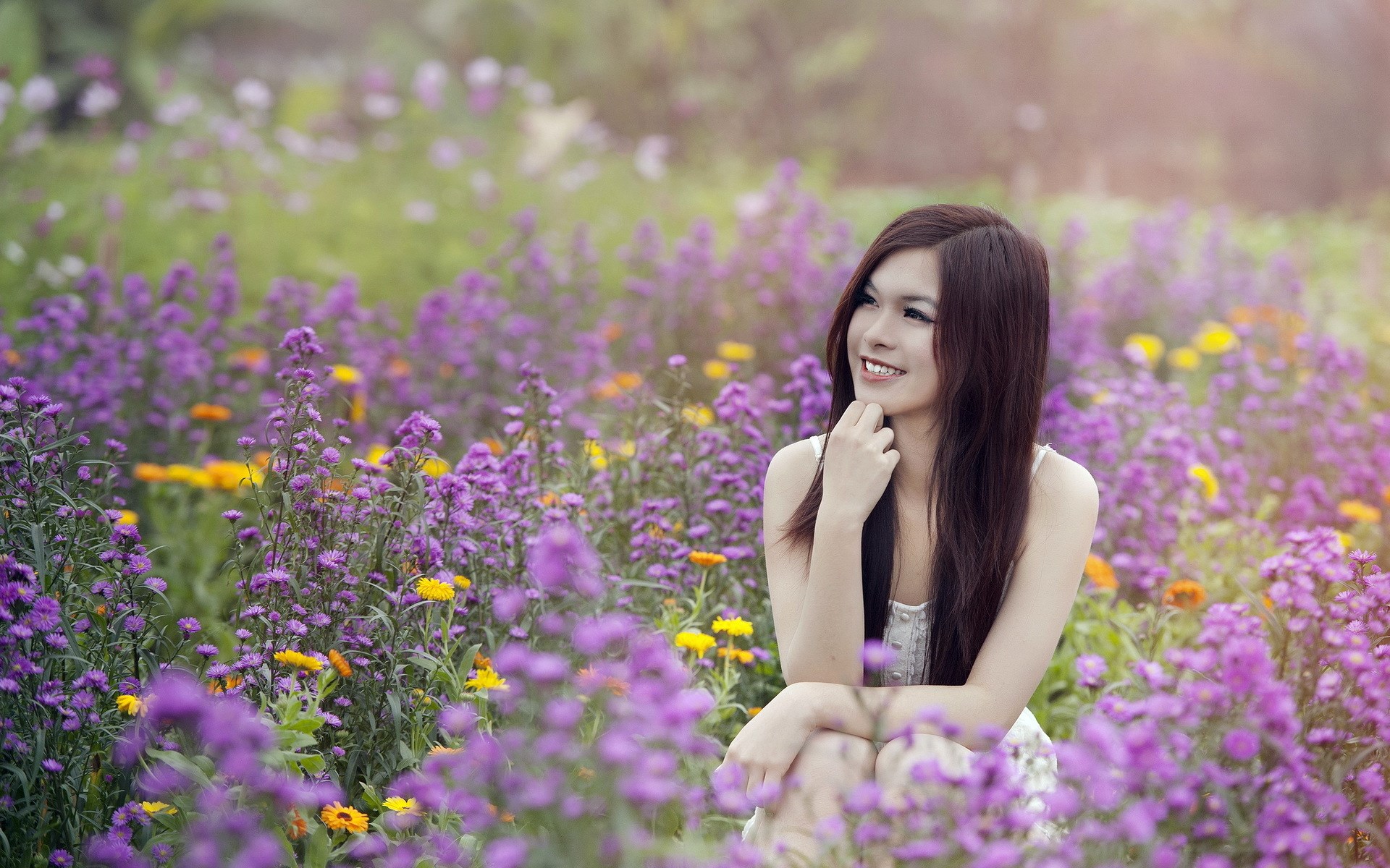 Woman sitting in a field of purple flowers HD Wallpaper
