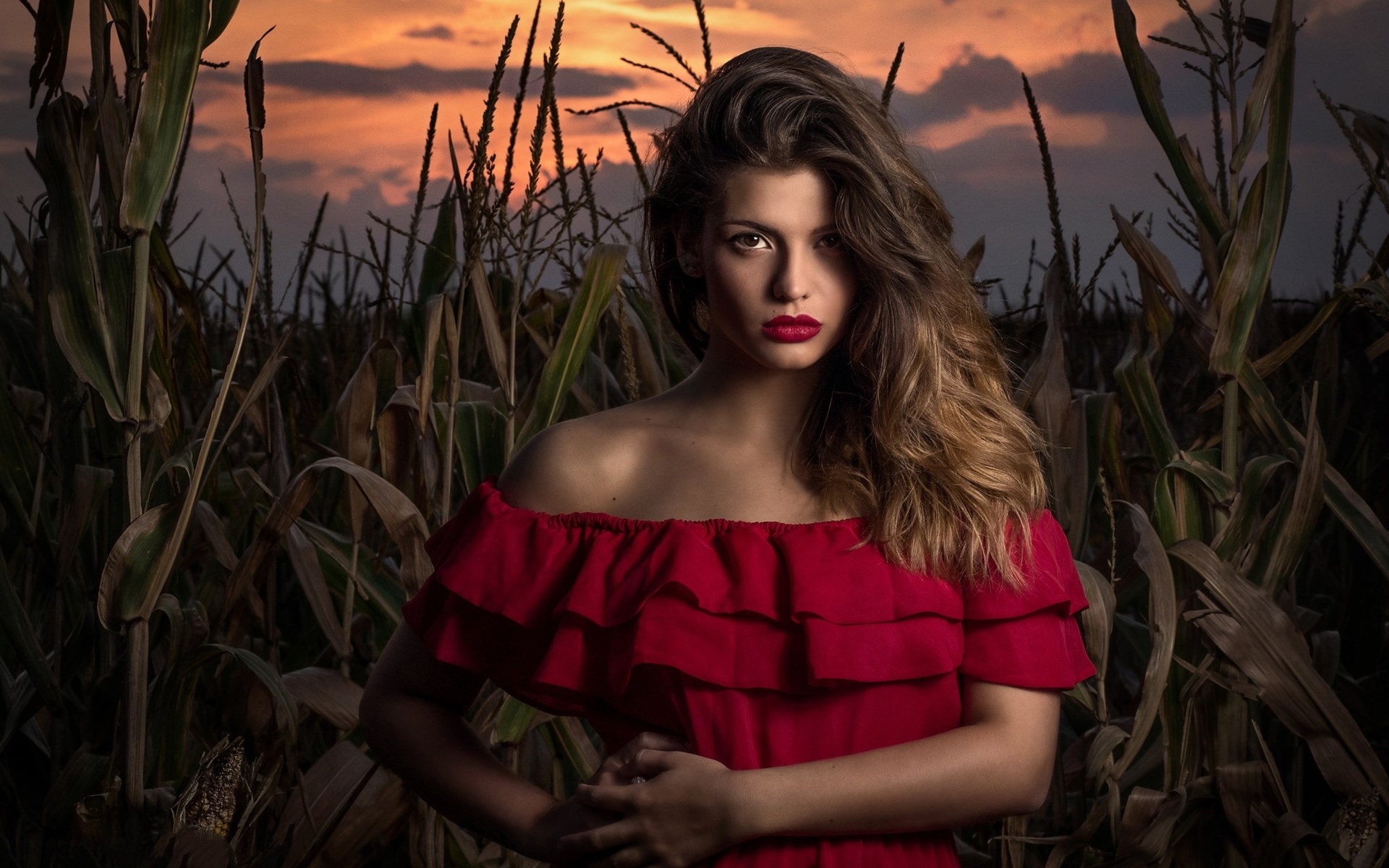 Woman in red dress in cornfield at sunset HD Wallpaper