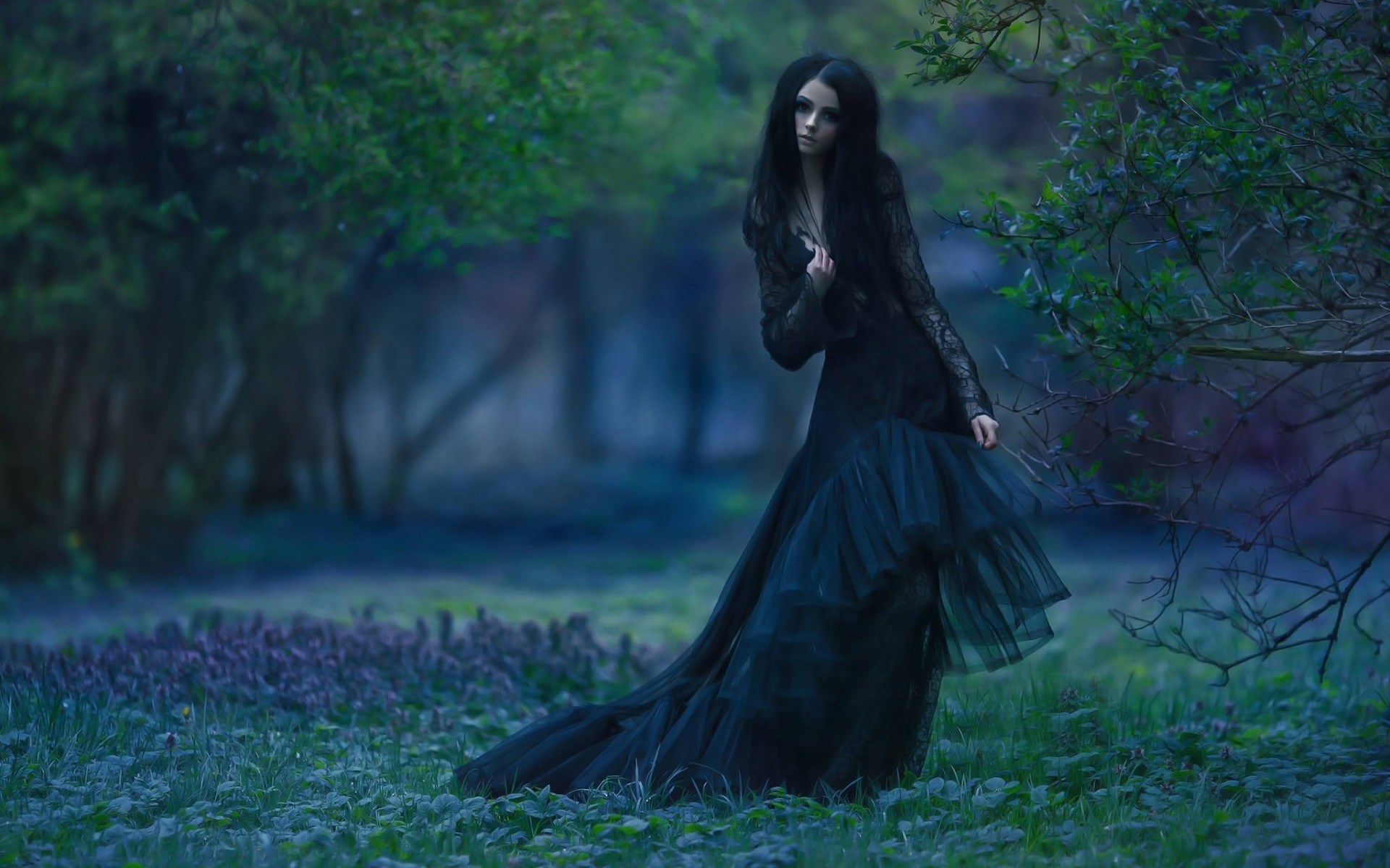 Woman in black dress in a forest HD Wallpaper