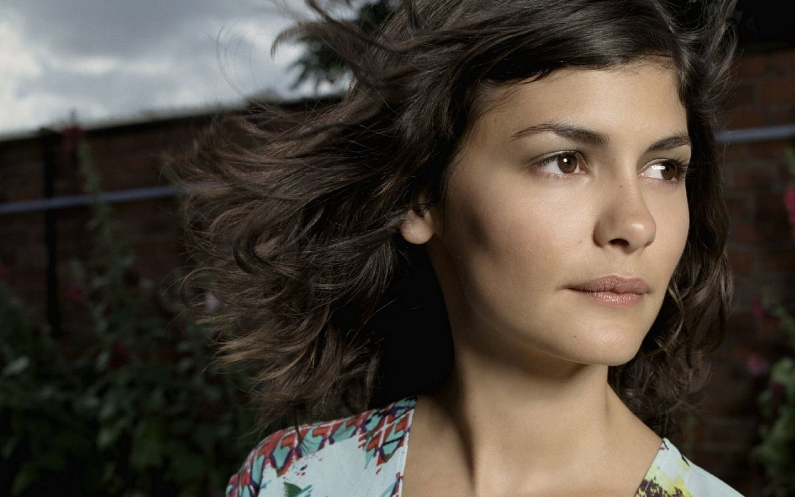Audrey Tautou HD Wallpaper