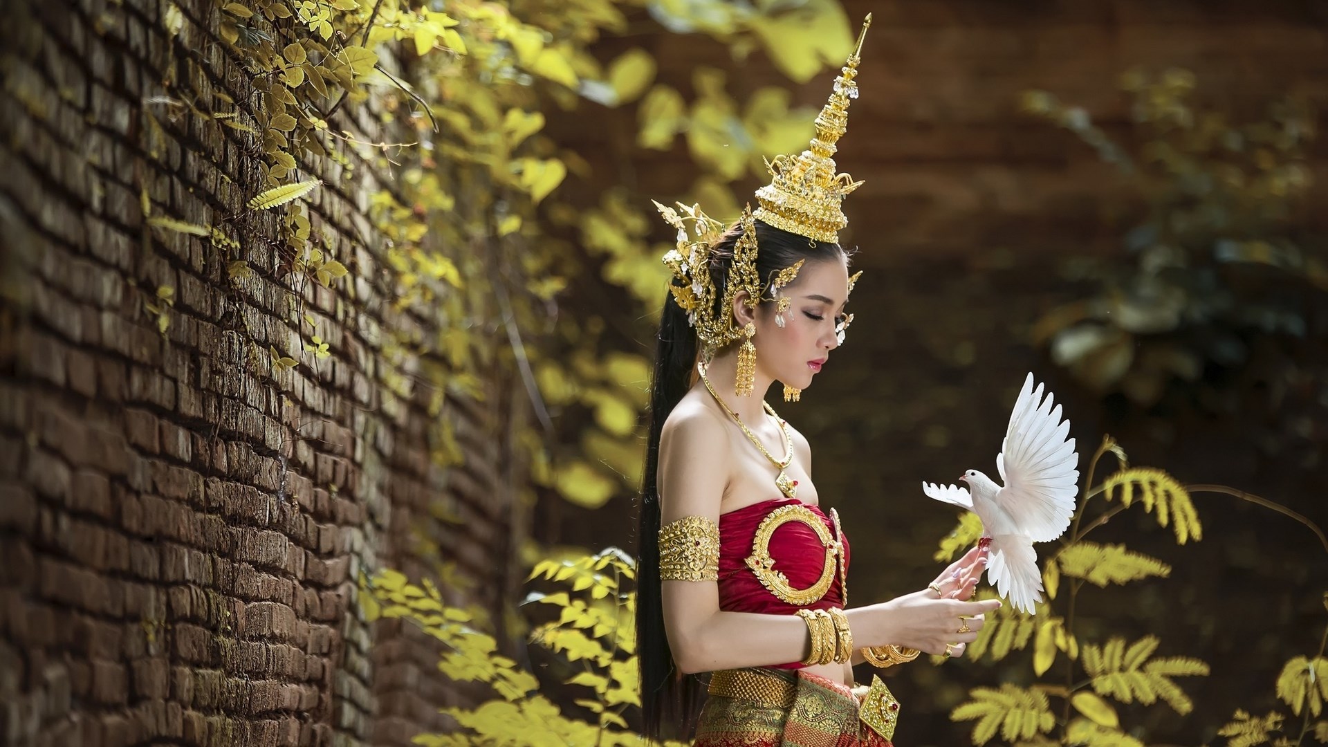 Woman in traditional attire holding a white dove HD Wallpaper