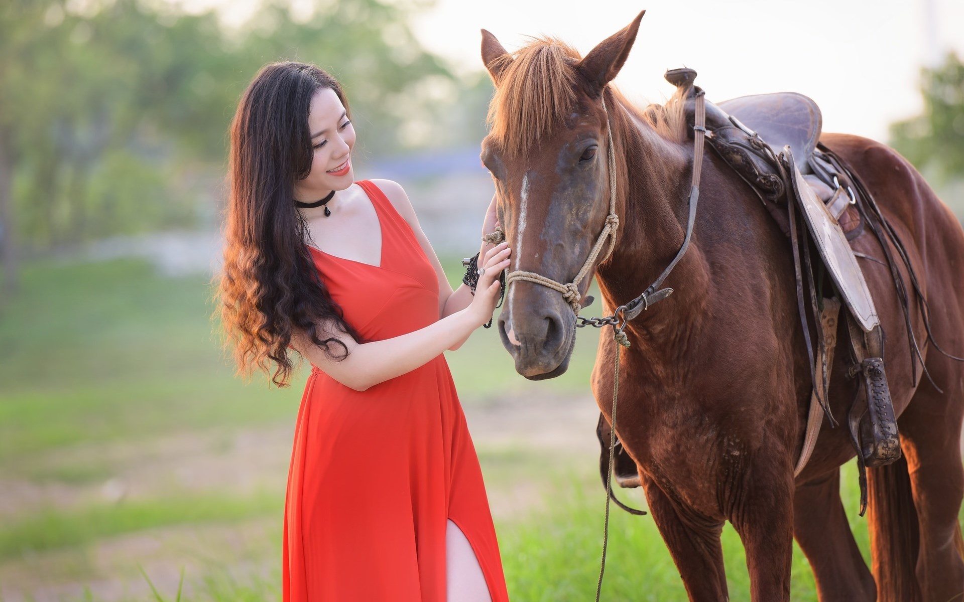 Woman in red dress with a horse HD Wallpaper