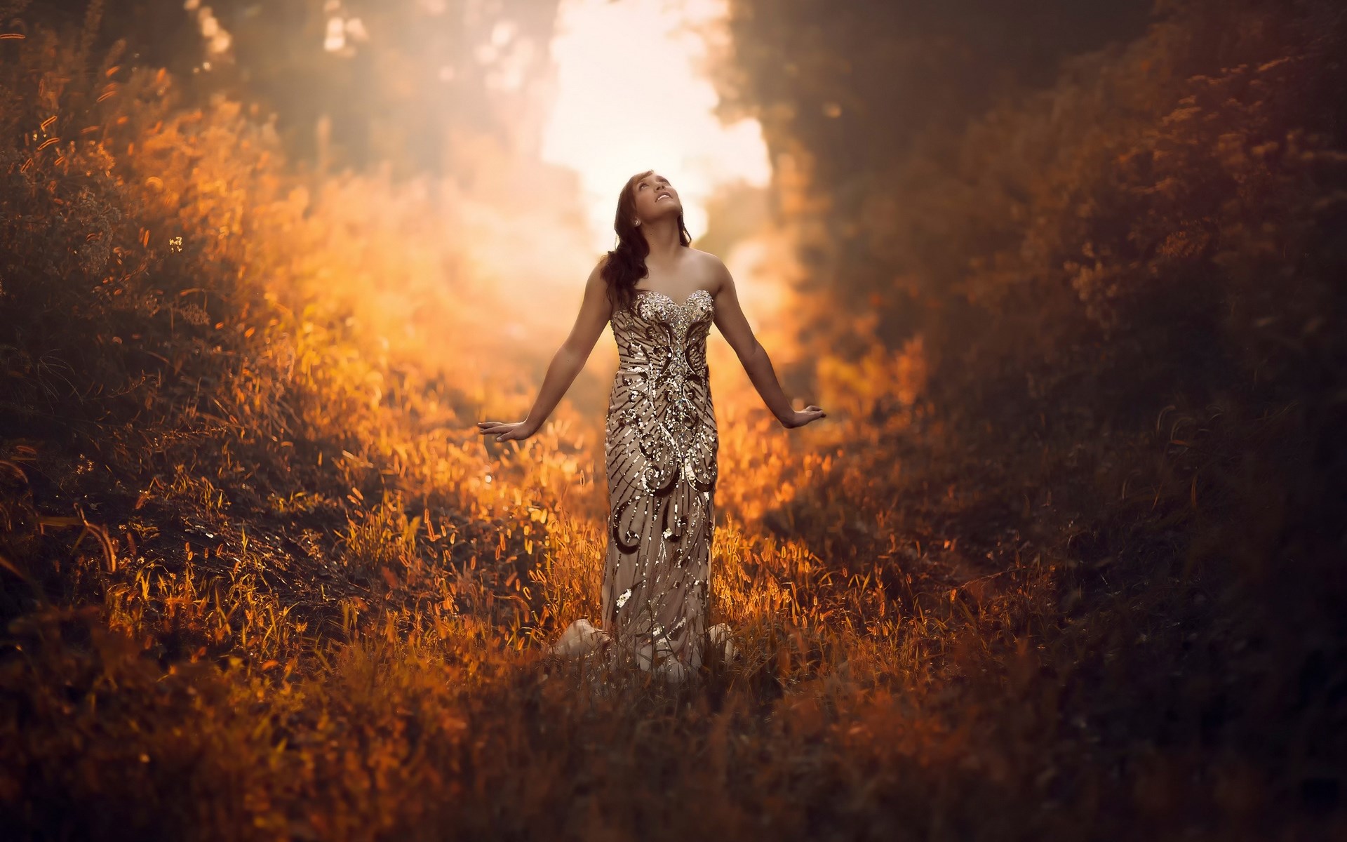 Woman in a sparkly dress in a sunlit forest HD Wallpaper