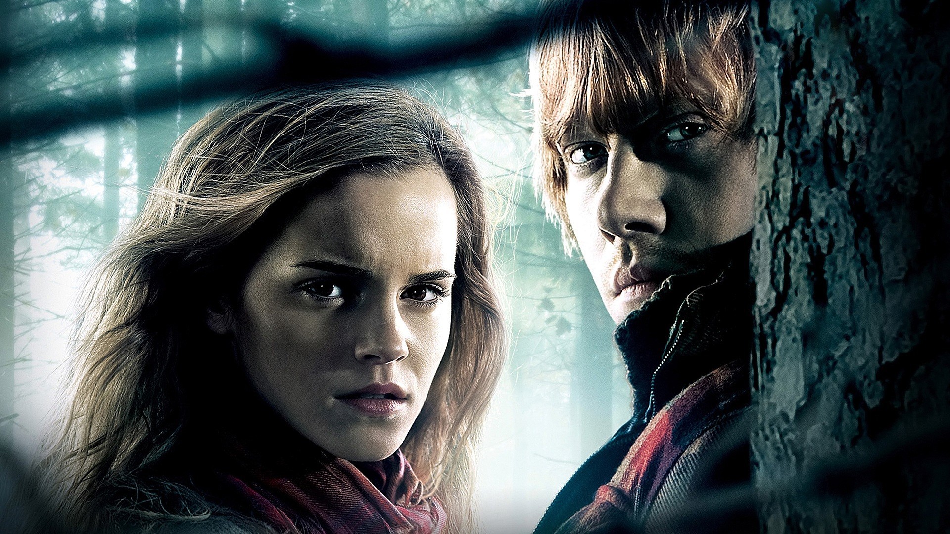 Hermione Granger and Ron Weasley from Harry Potter HD Wallpaper