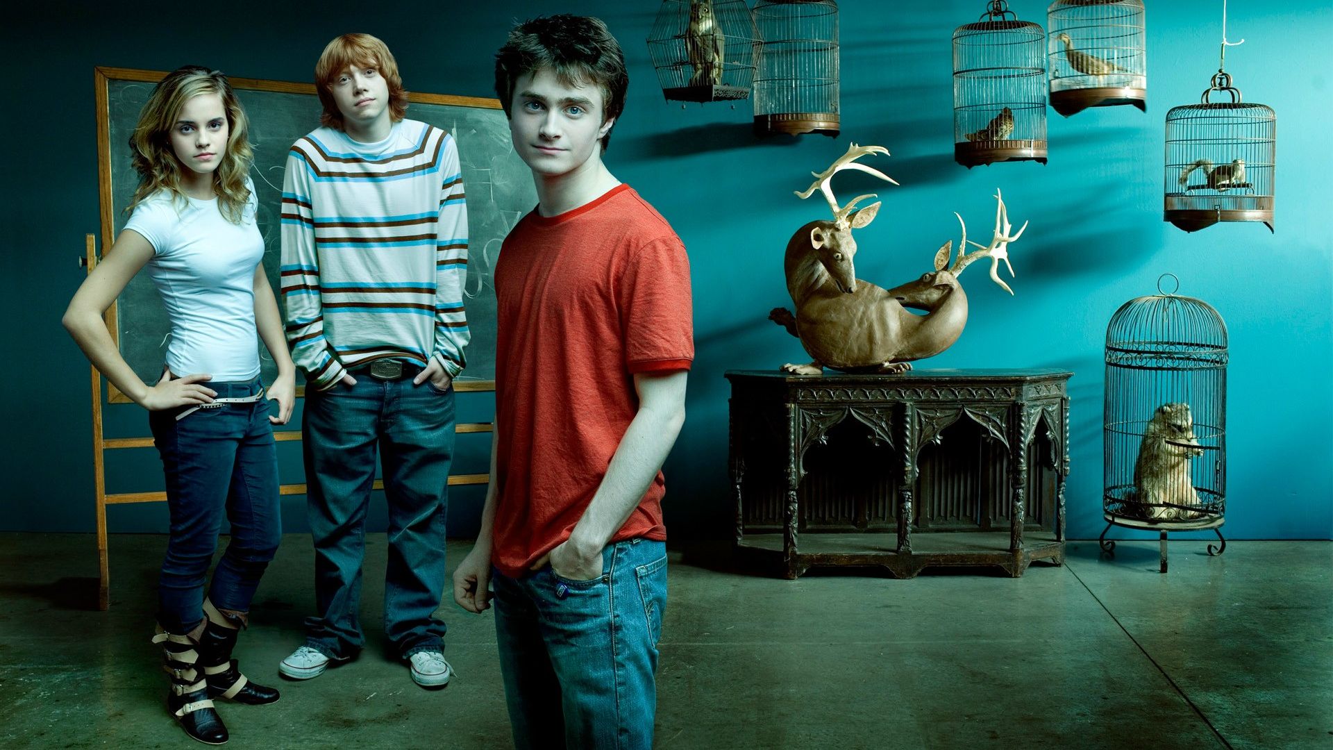 Harry Potter characters in a room with taxidermy HD Wallpaper