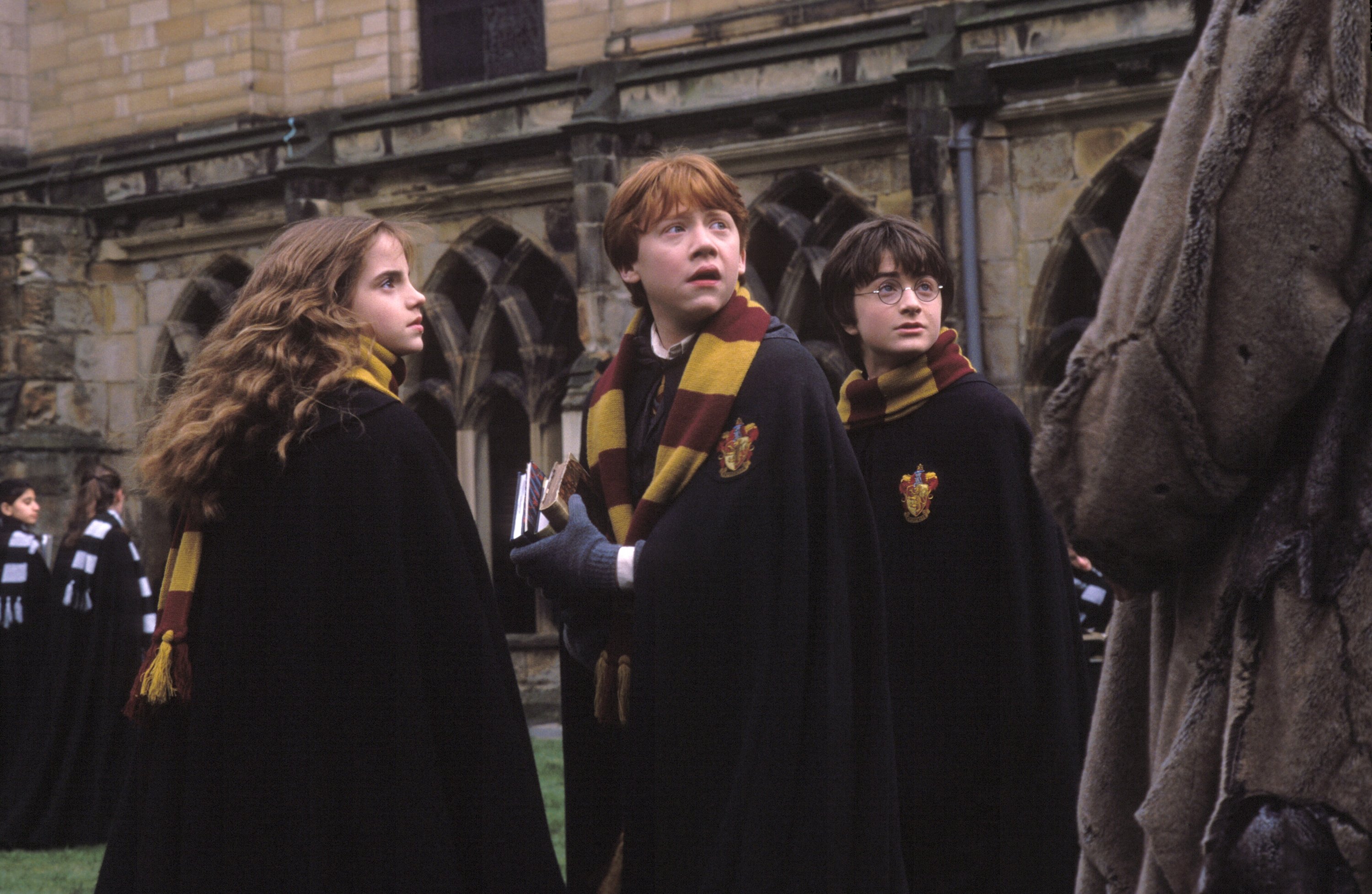 Harry Potter, Ron Weasley, and Hermione Granger from Harry Potter HD Wallpaper