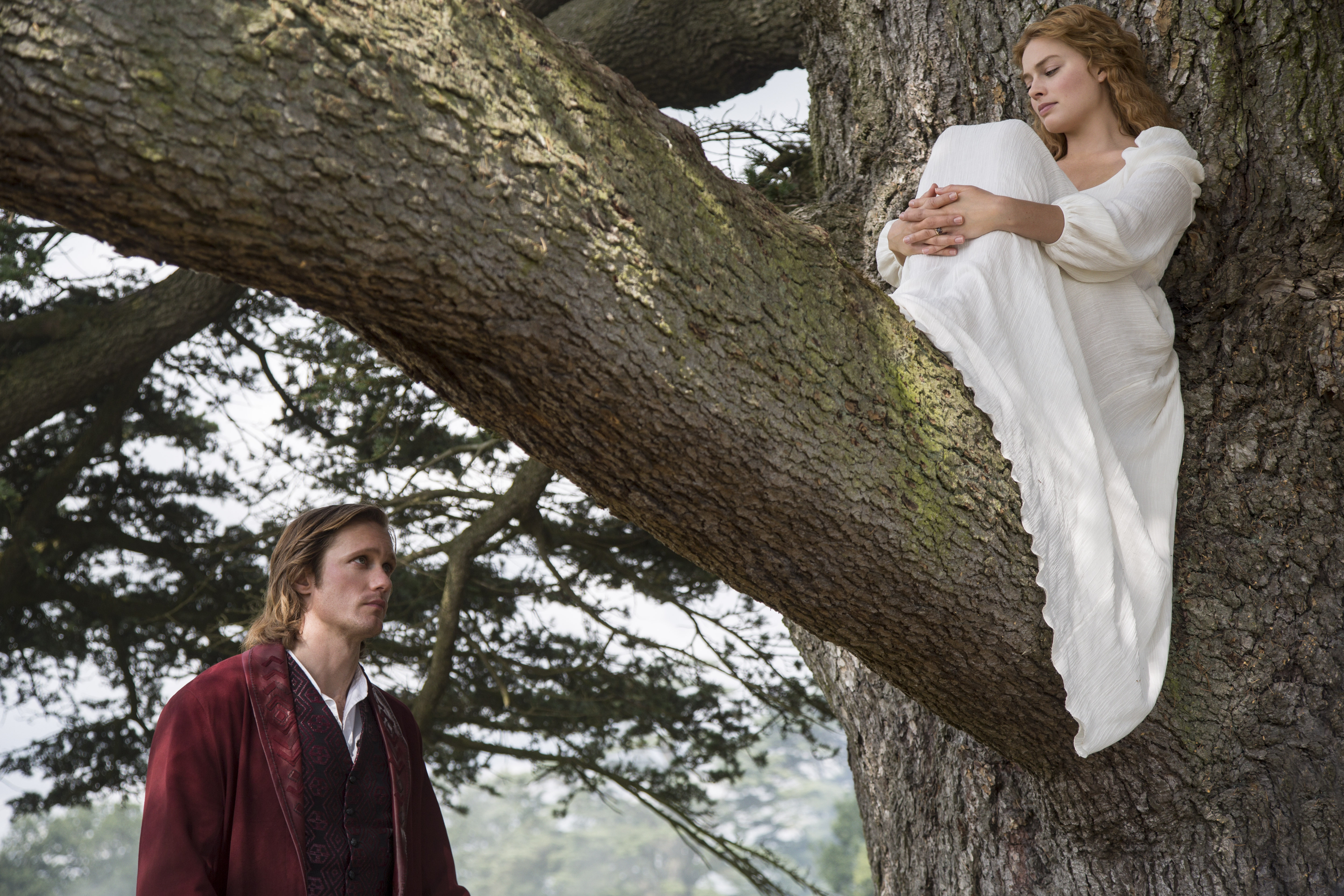 Alexander Skarsgård in a tree HD Wallpaper