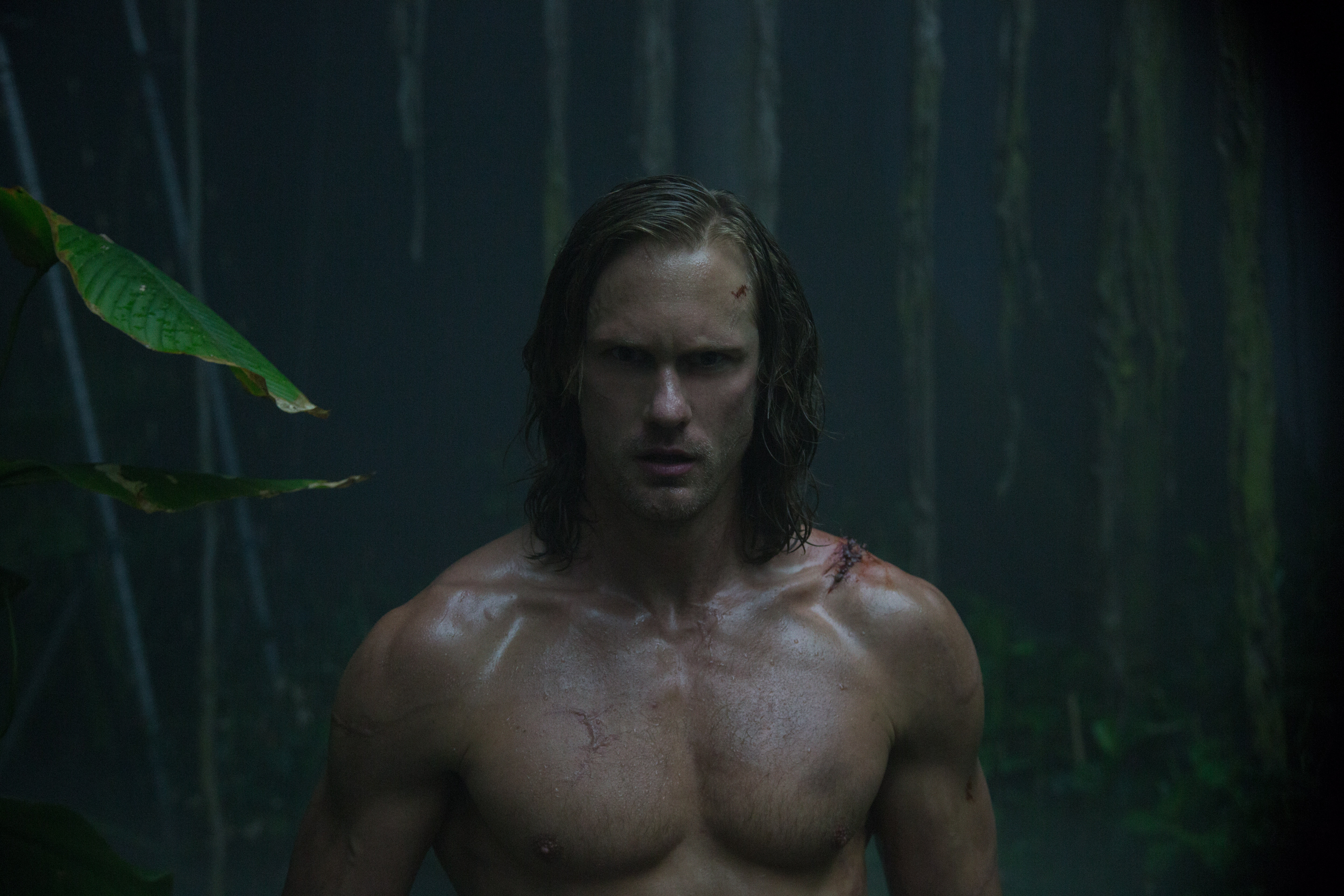 Alexander Skarsgård as Tarzan in the jungle HD Wallpaper