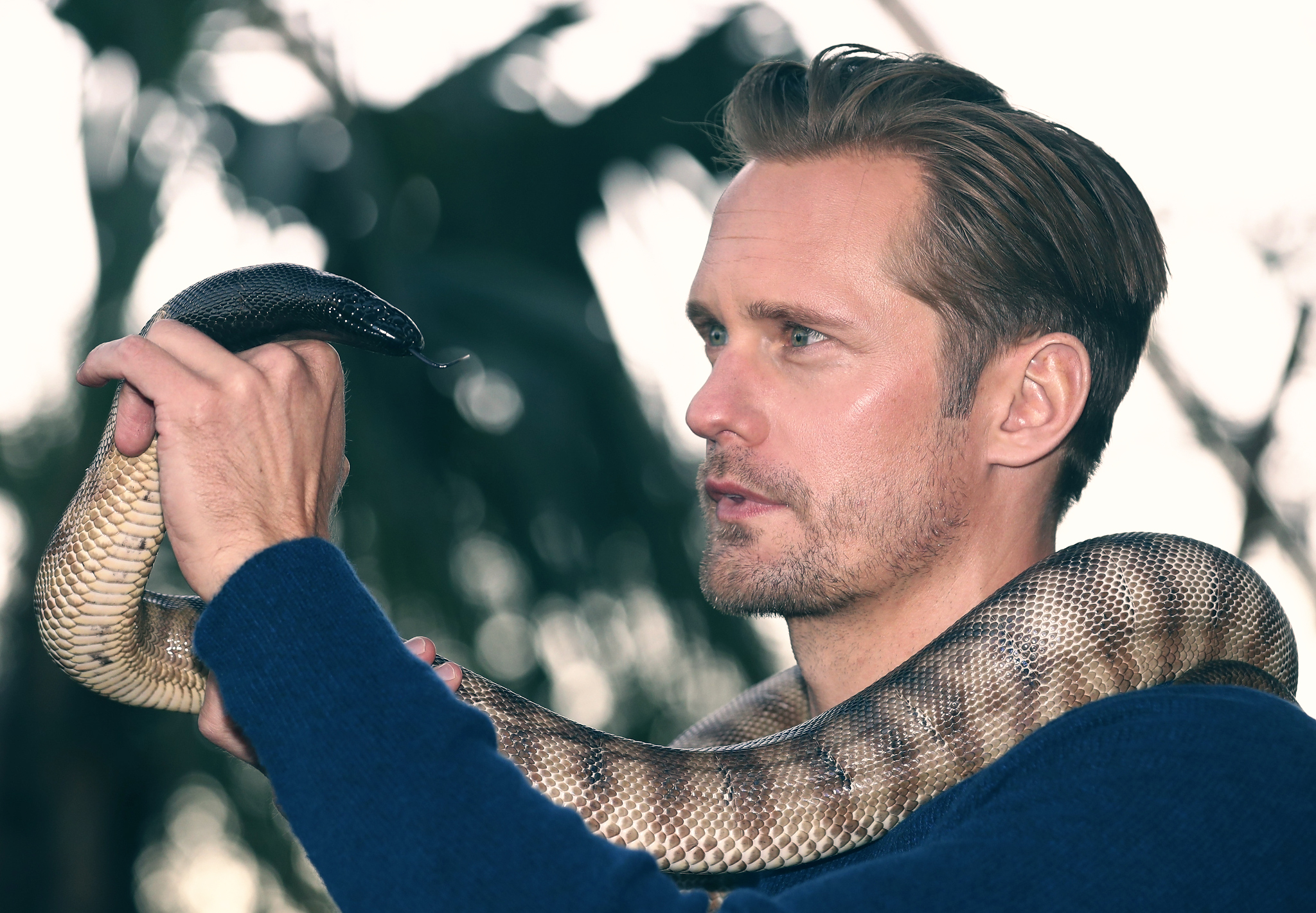 Alexander Skarsgård with a snake HD Wallpaper