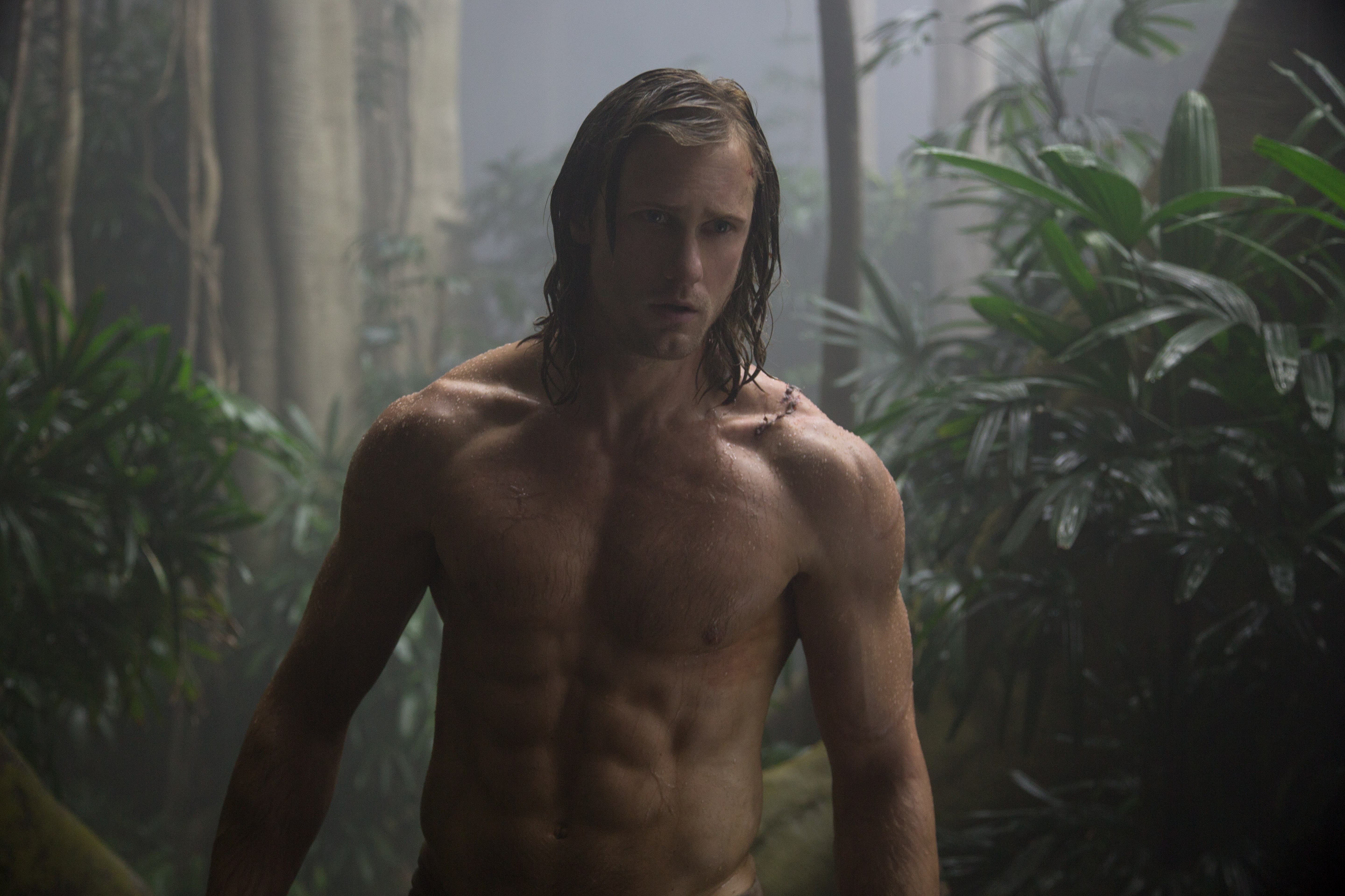 Alexander Skarsgård as Tarzan in the jungle HD Wallpaper