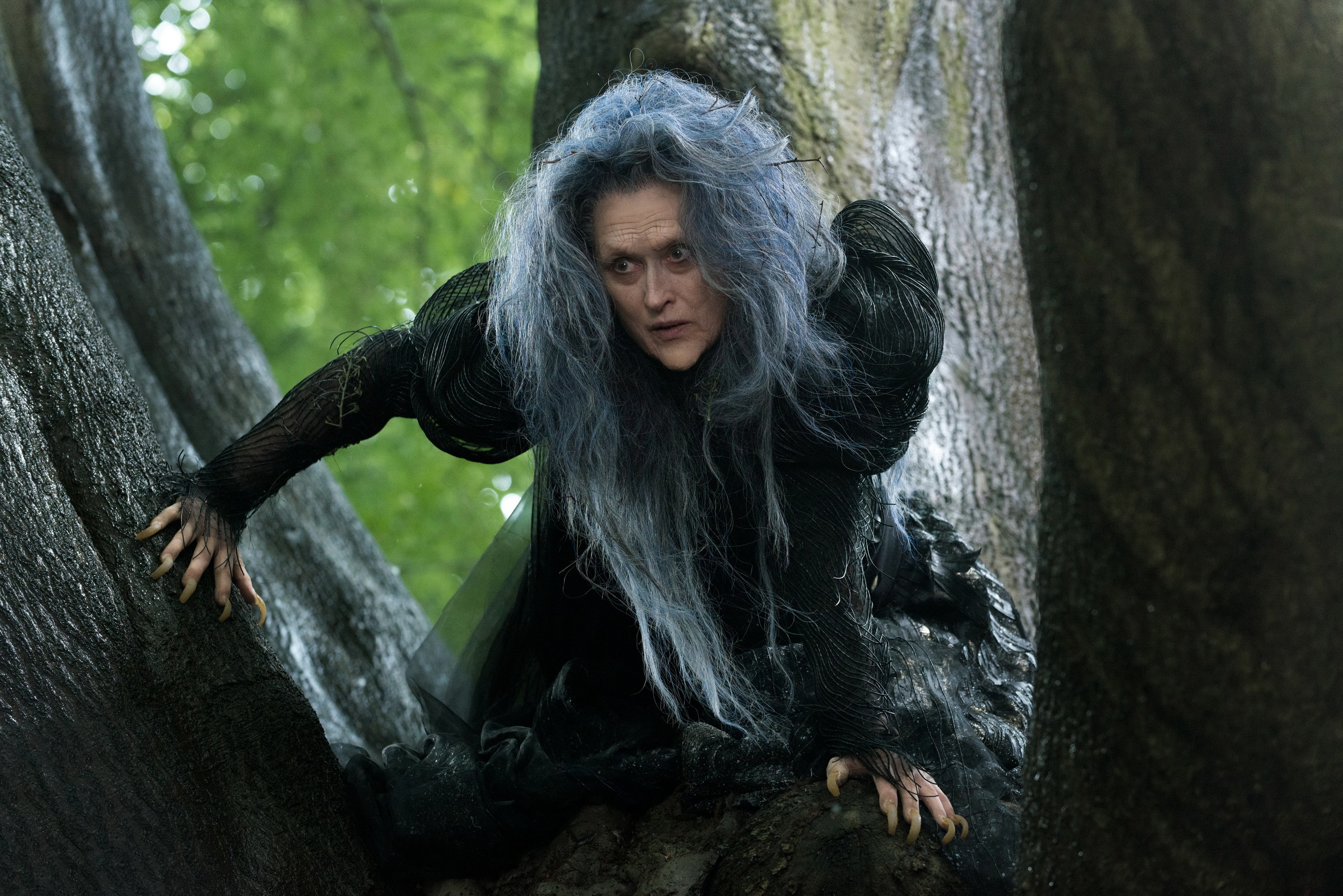 Meryl Streep as the Witch in Into the Woods HD Wallpaper