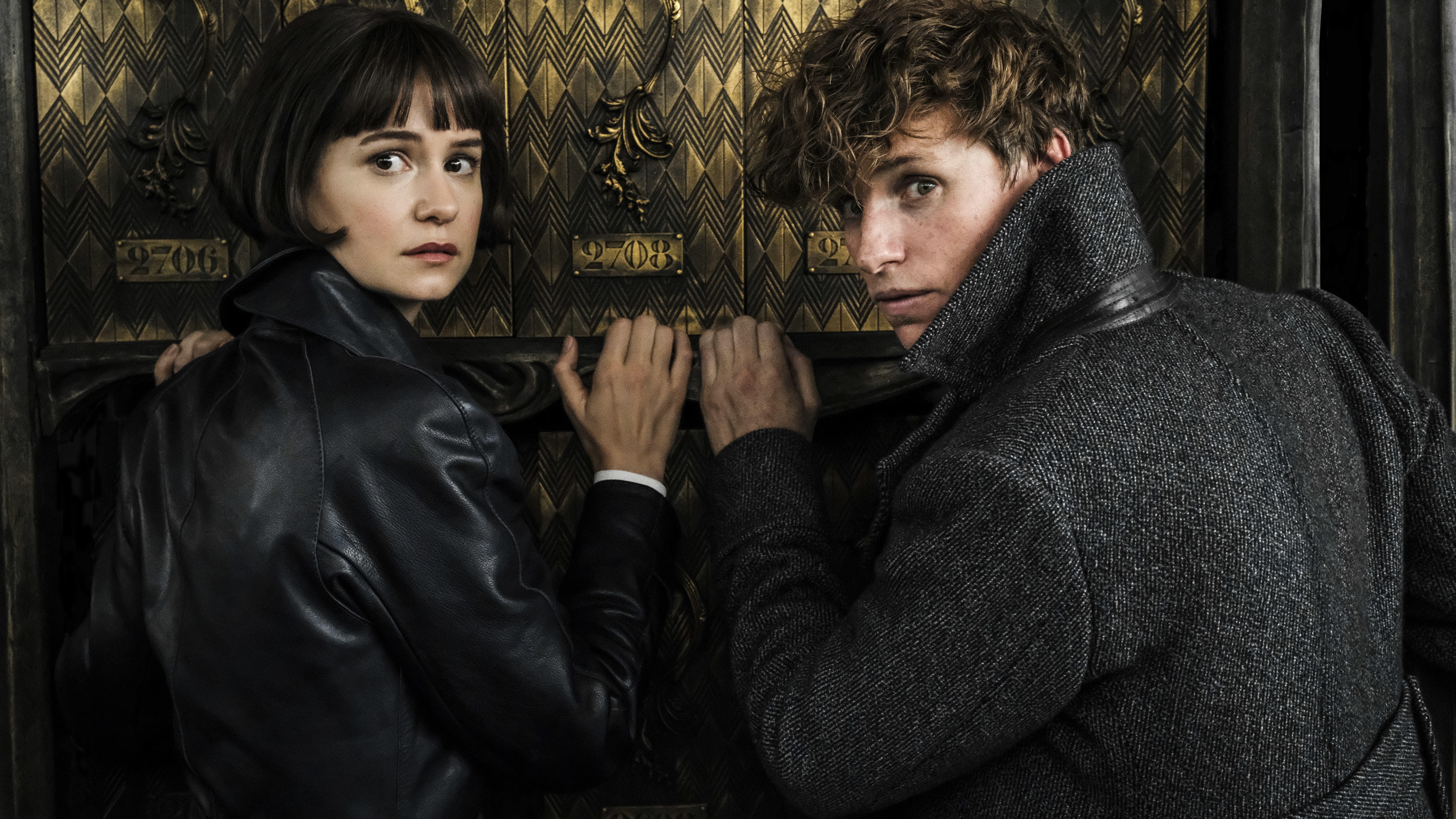 Queenie Goldstein and Newt Scamander from Fantastic Beasts HD Wallpaper