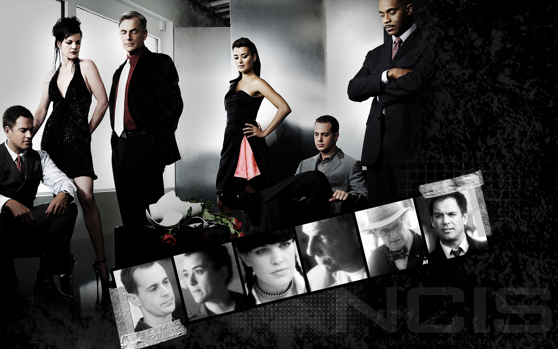 NCIS Cast Collage HD Wallpaper