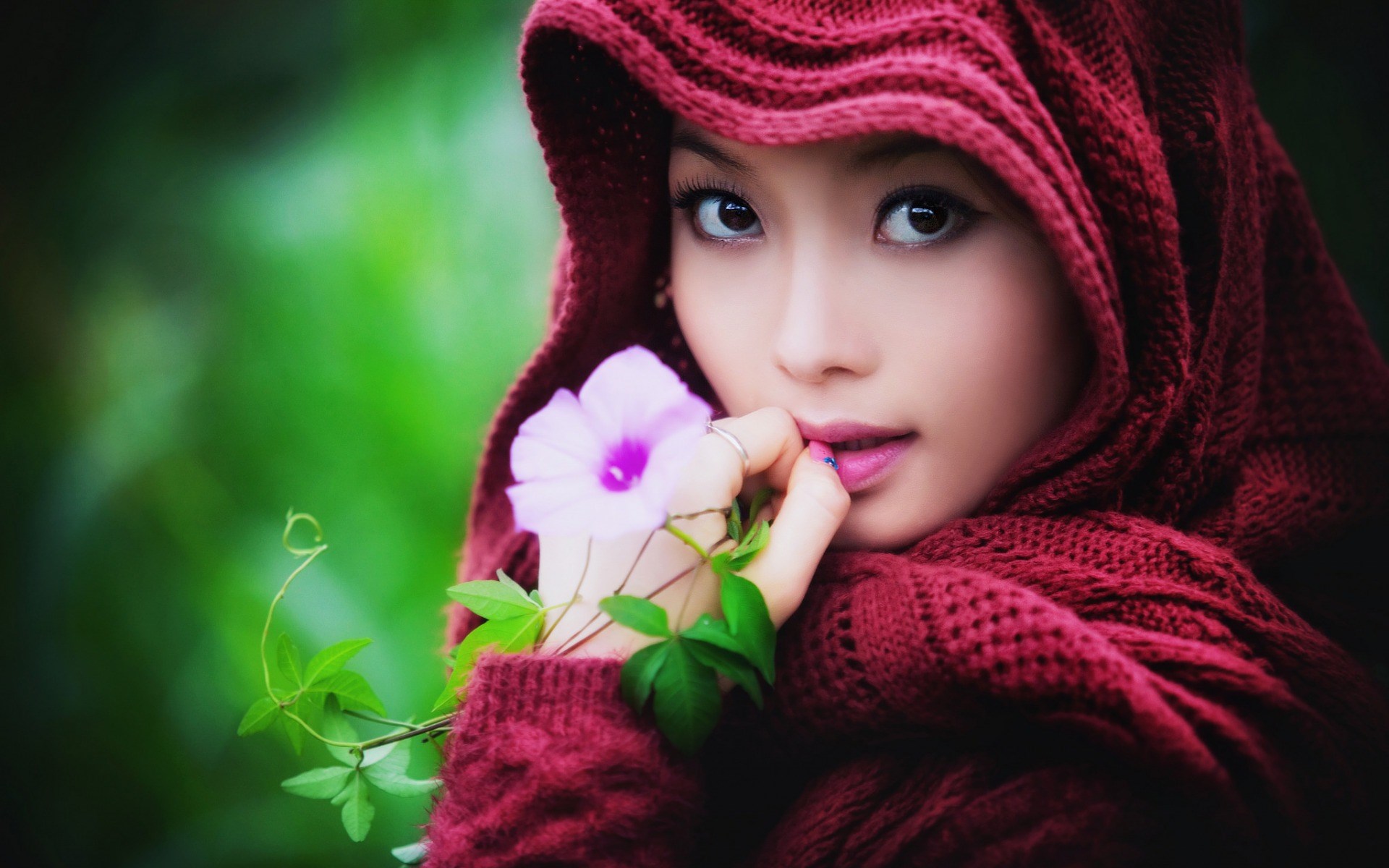 Woman in red hood holding a flower HD Wallpaper