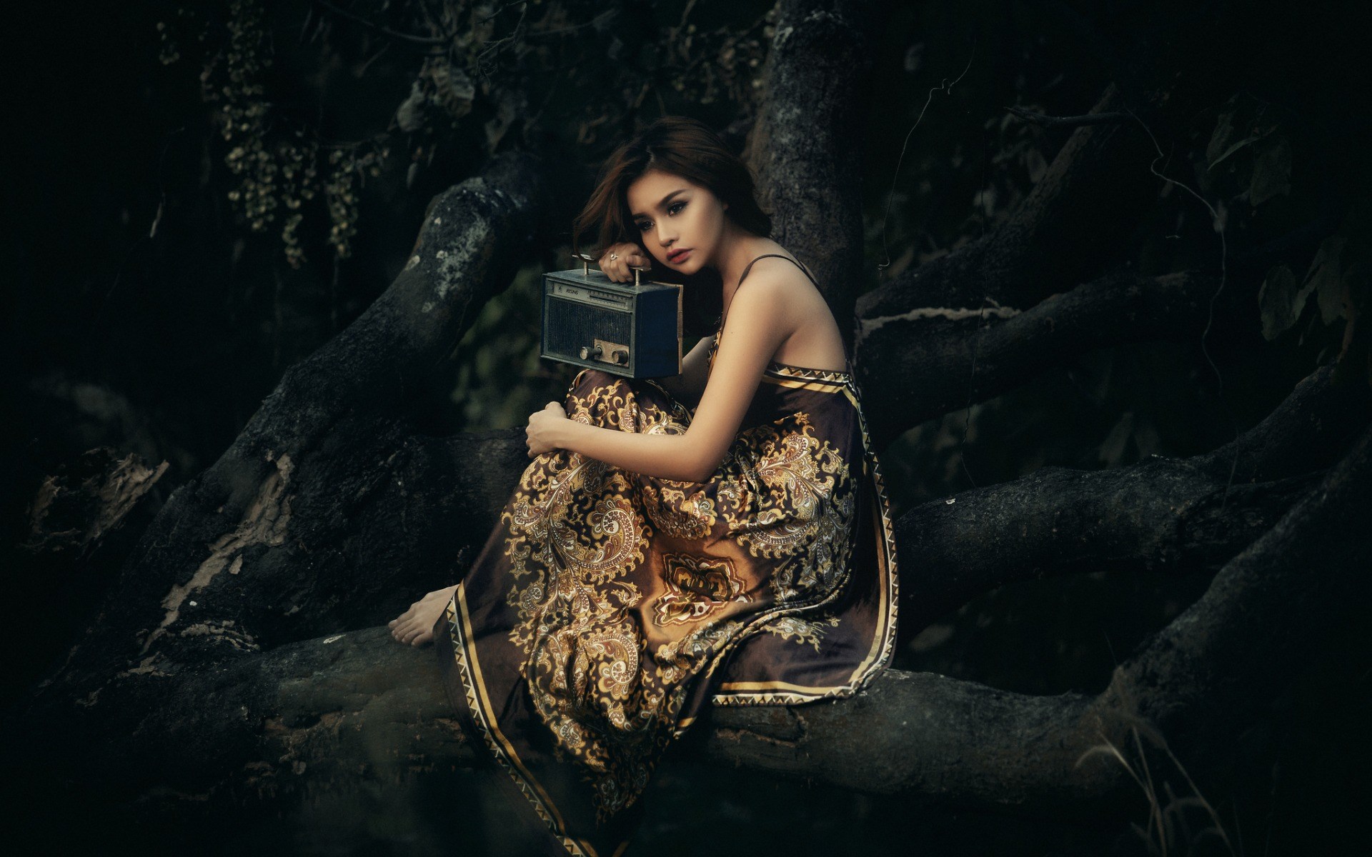 Woman with vintage radio sitting on a tree branch HD Wallpaper