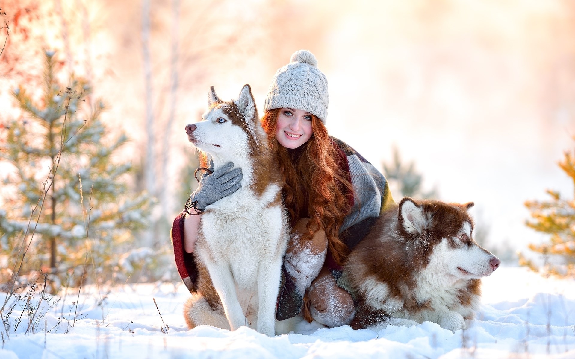 Woman with two huskies in a snowy forest HD Wallpaper