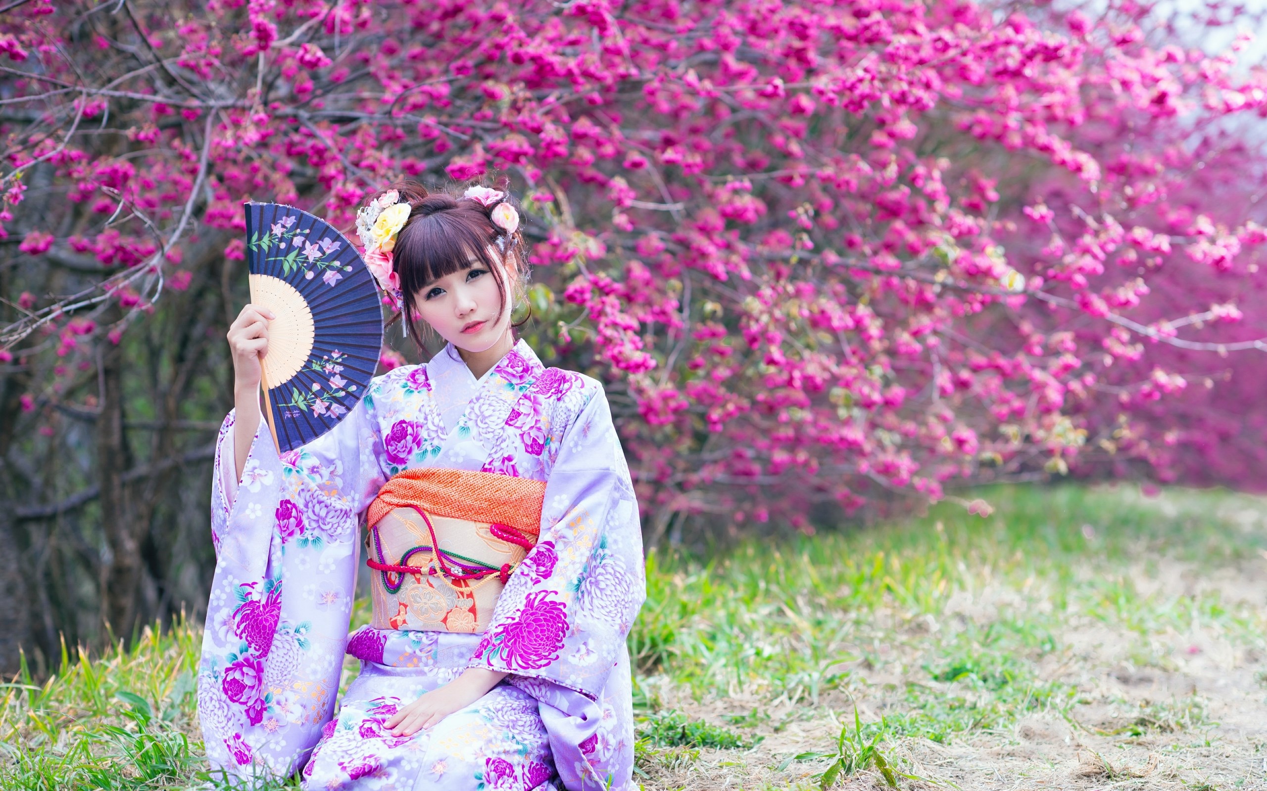 Woman in Kimono Holding a Fan Under Cherry Blossoms HD Wallpaper