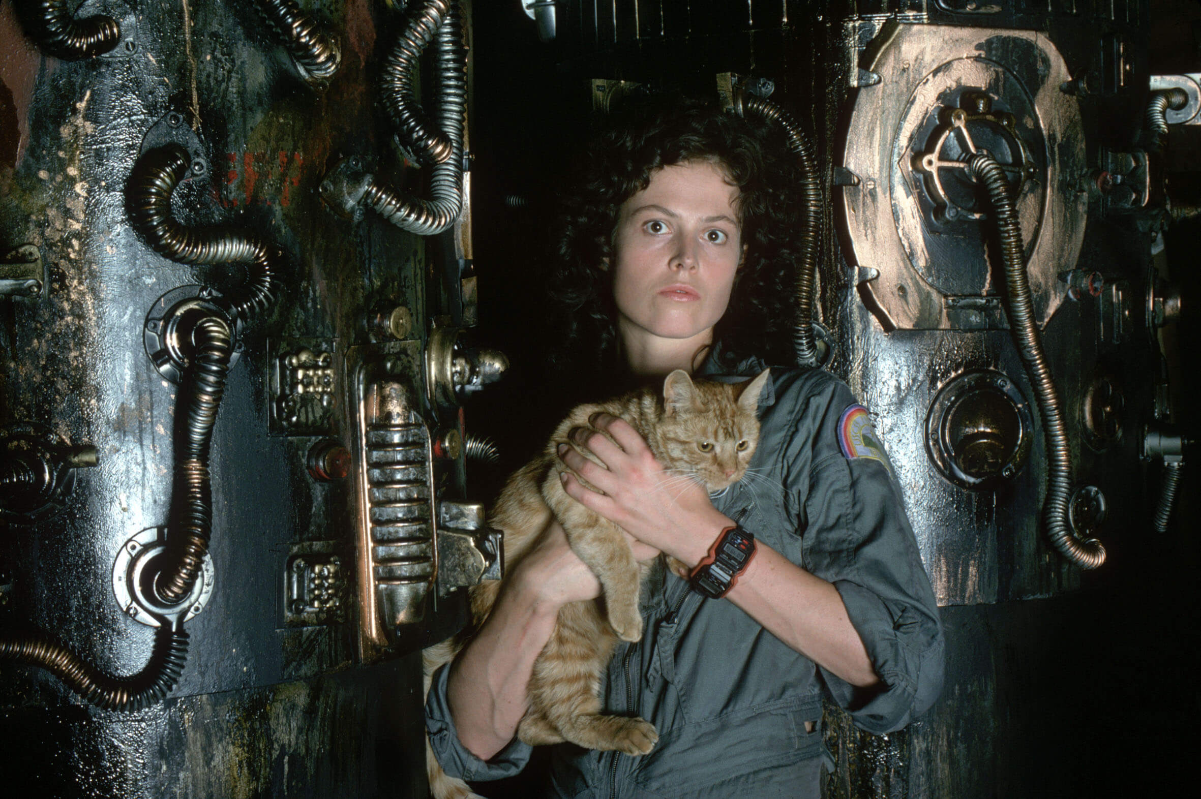 Ripley from Alien holding Jonesy the cat HD Wallpaper