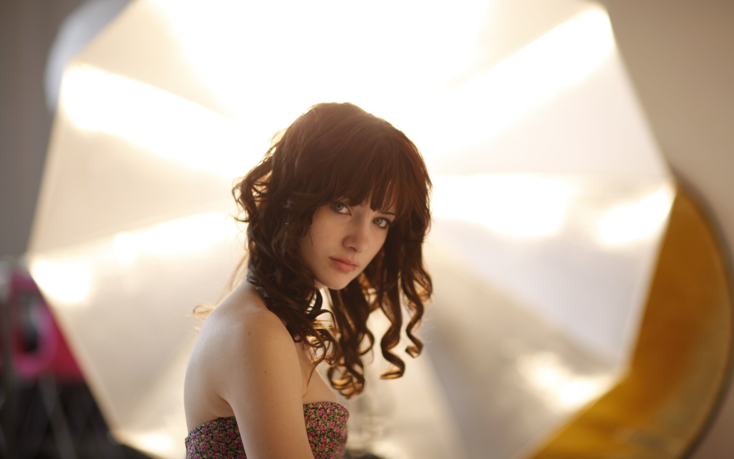 Woman with curly brown hair in a strapless dress HD Wallpaper