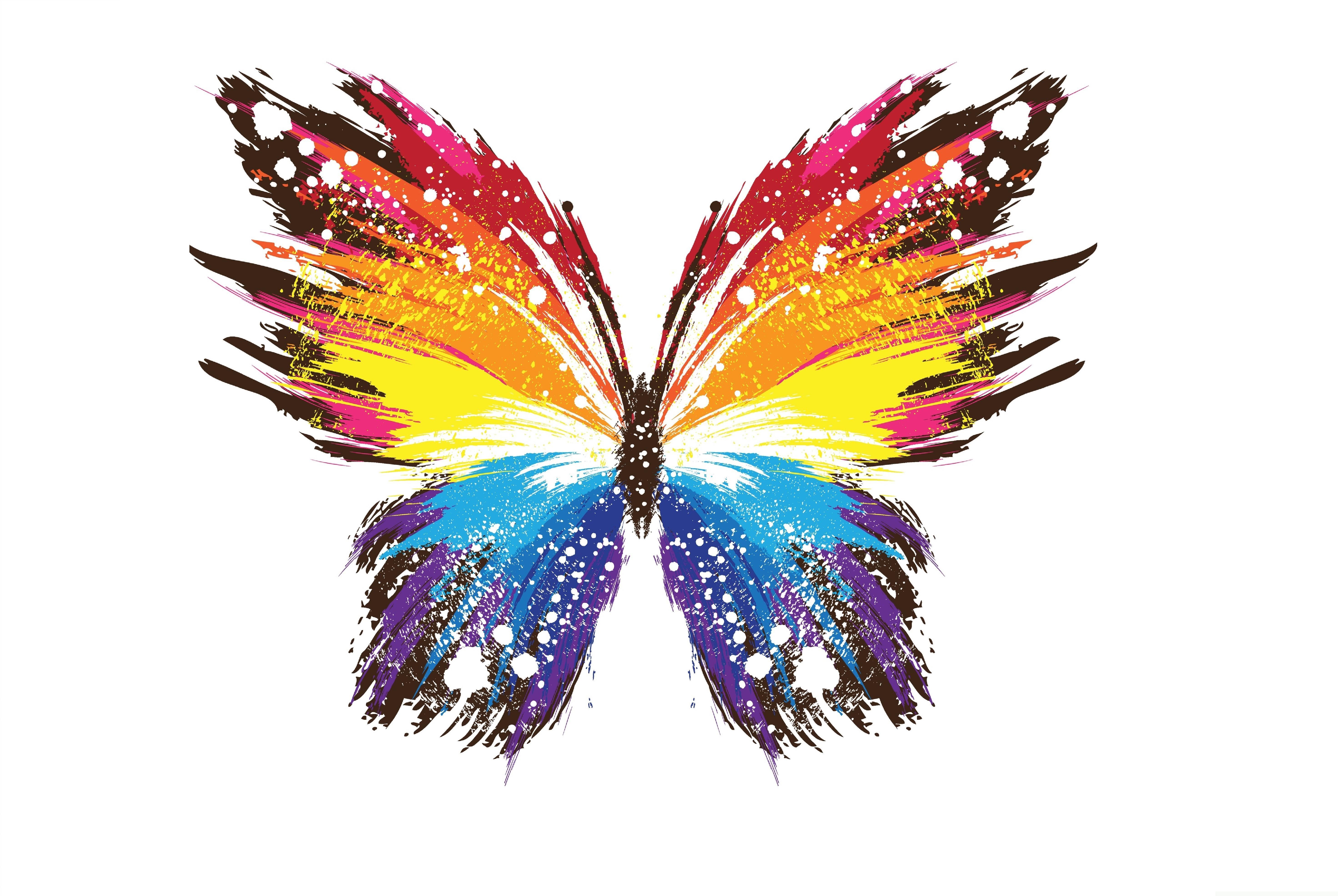 Colorful abstract butterfly with paint splatter effect HD Wallpaper