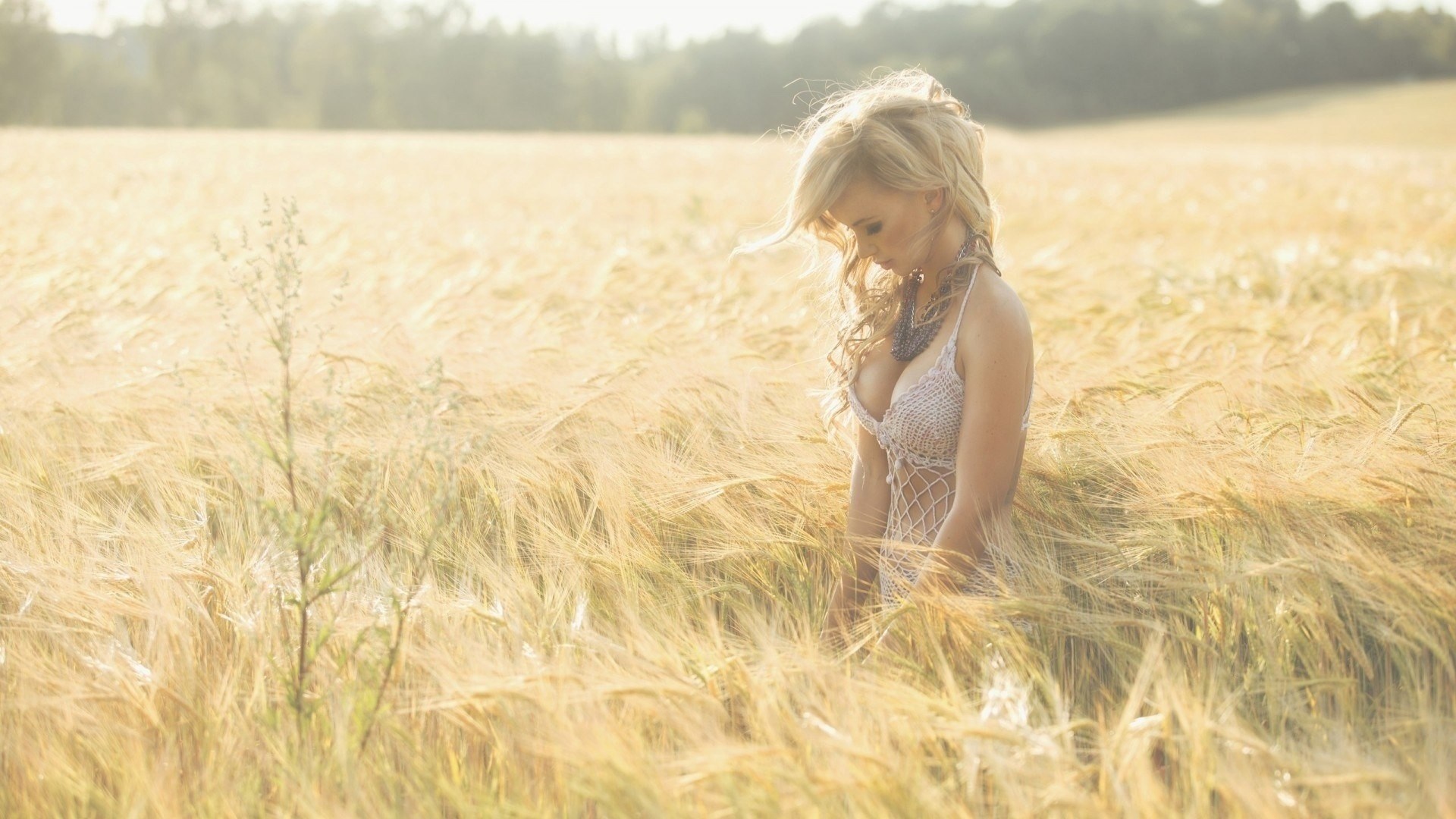 Woman in a wheat field HD Wallpaper