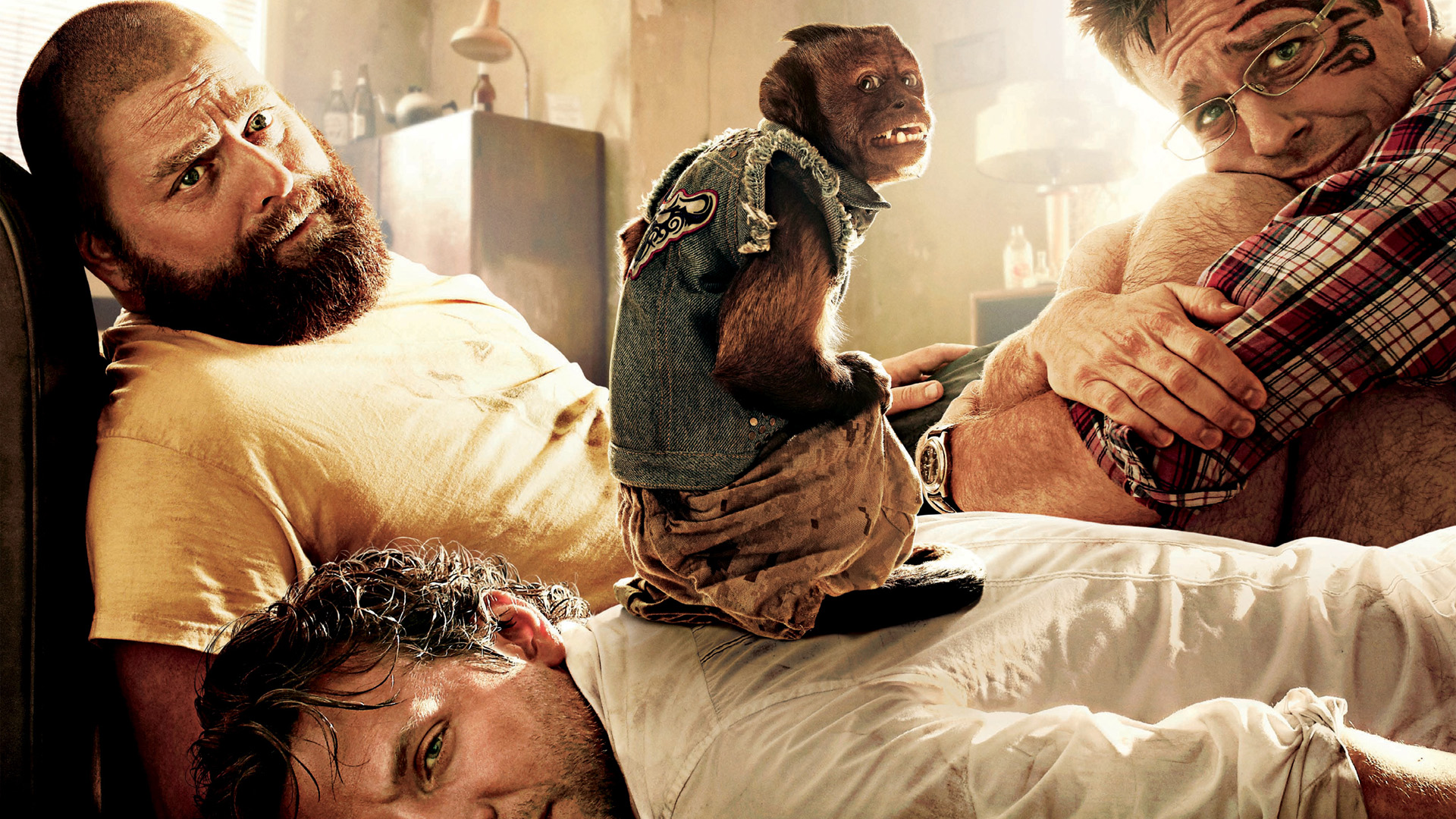 The Hangover: Zach Galifianakis and Monkey HD Wallpaper