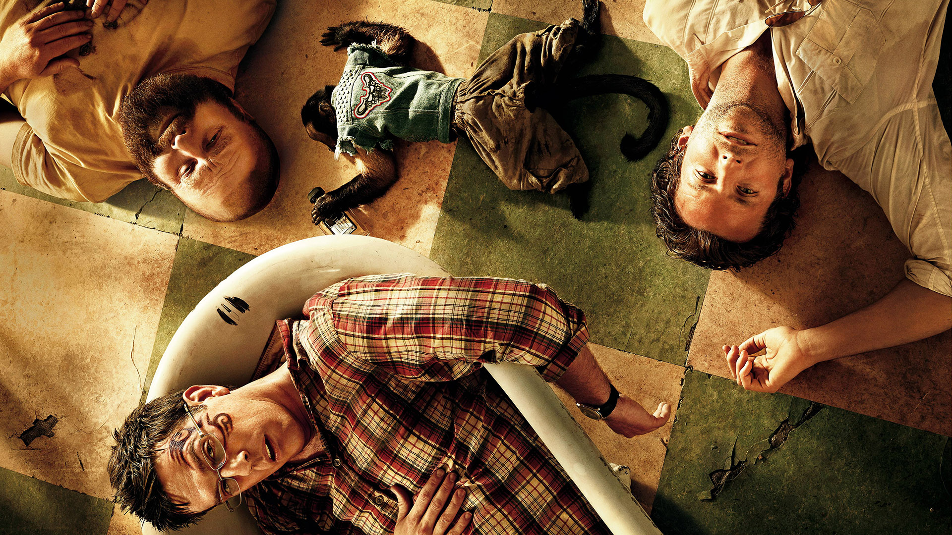The Hangover movie poster with Zach Galifianakis HD Wallpaper