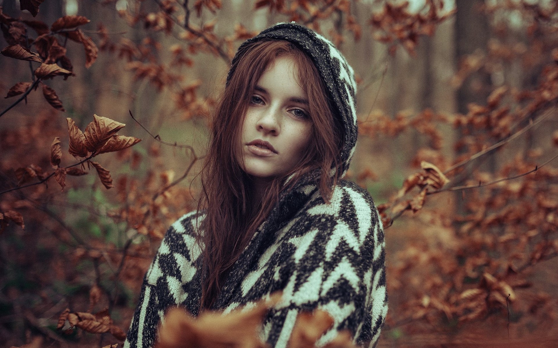 Young woman with red hair in a forest HD Wallpaper