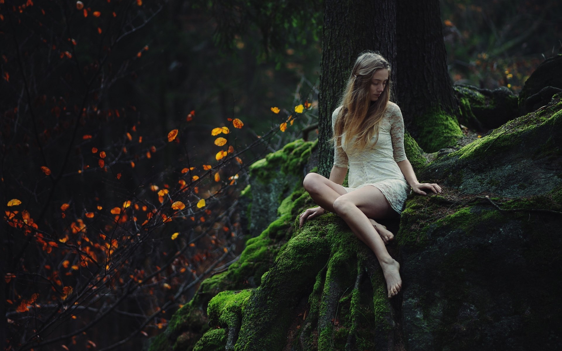 Woman sitting on mossy rocks in a forest HD Wallpaper