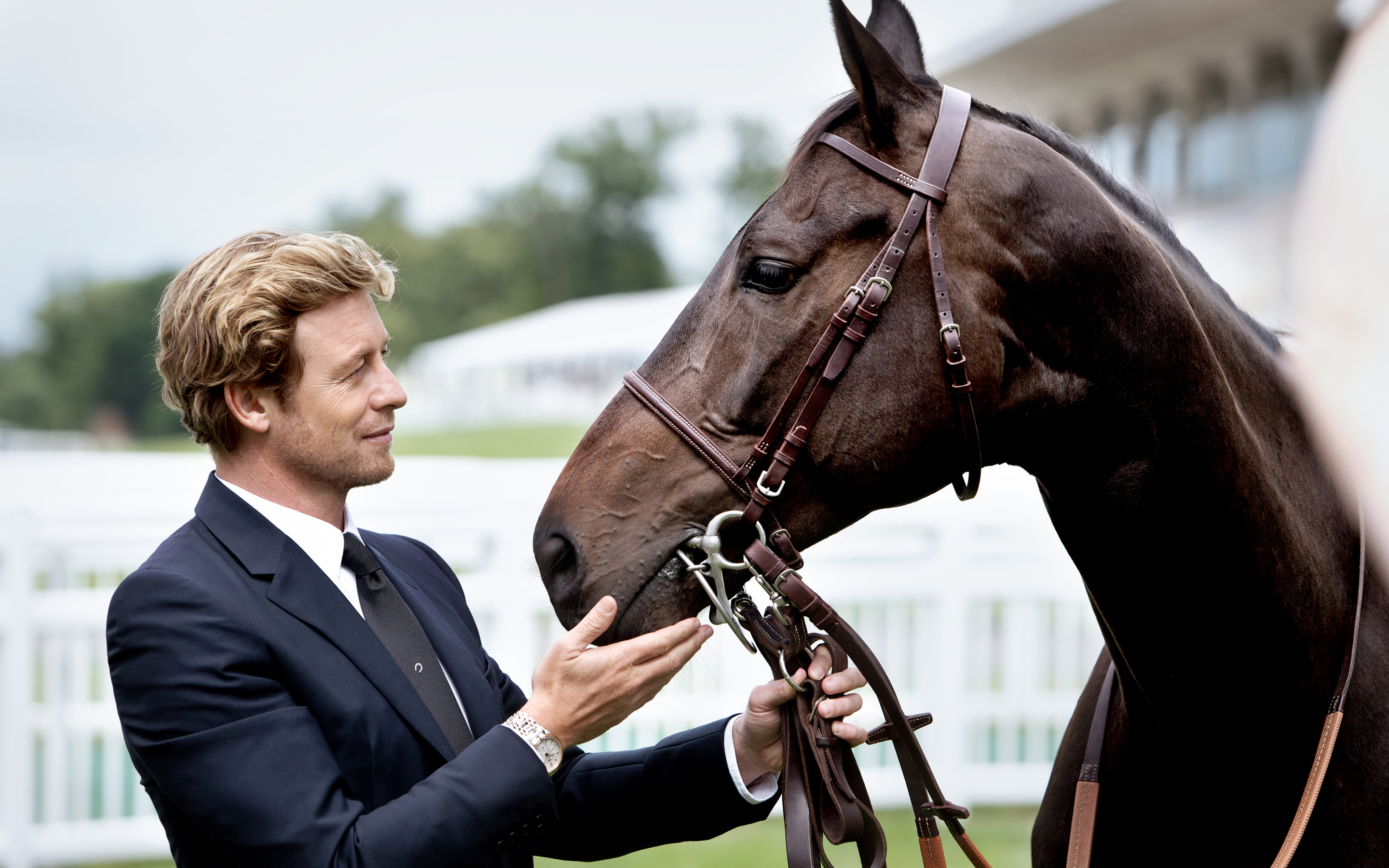 Simon Baker with a horse HD Wallpaper