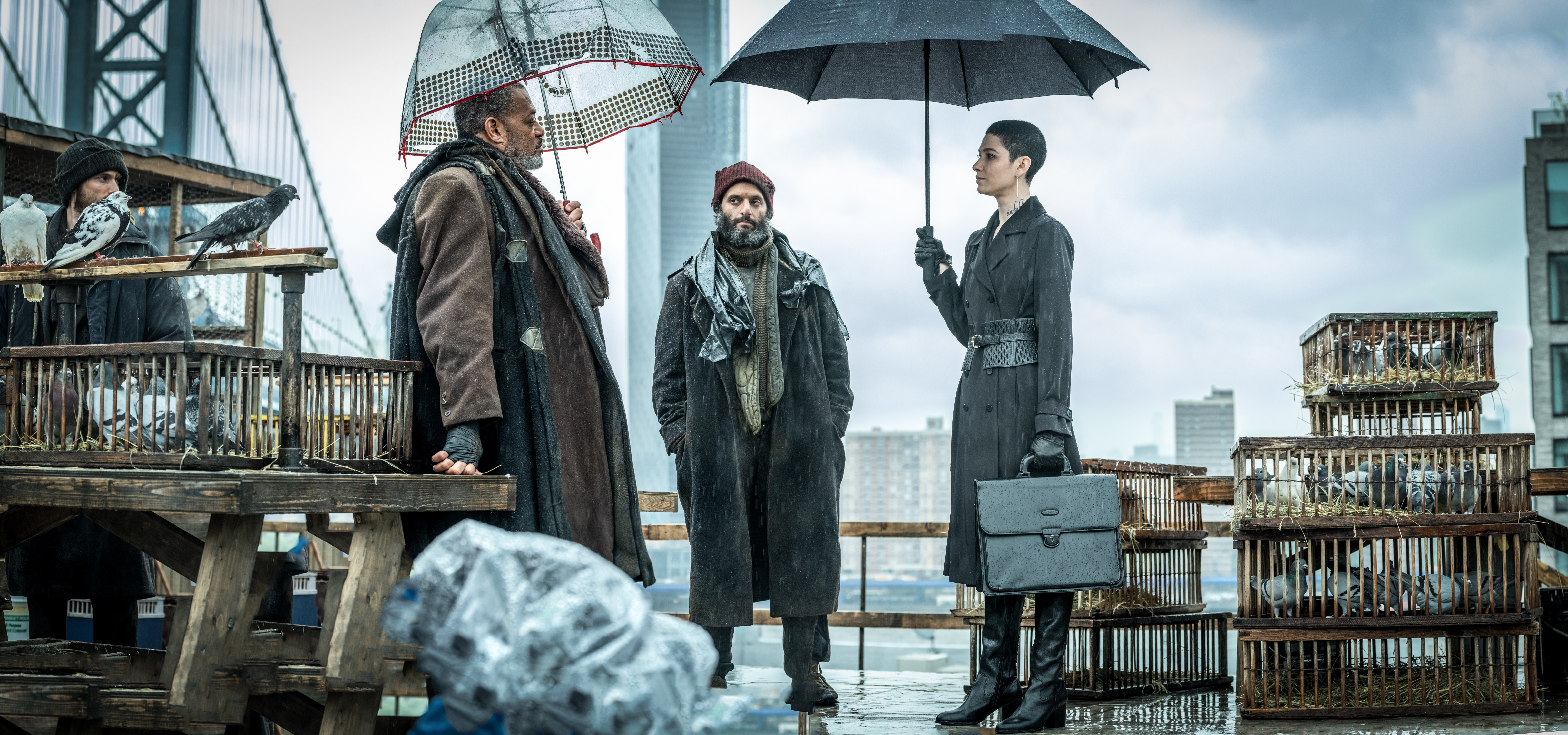 Laurence Fishburne and two others with pigeons HD Wallpaper