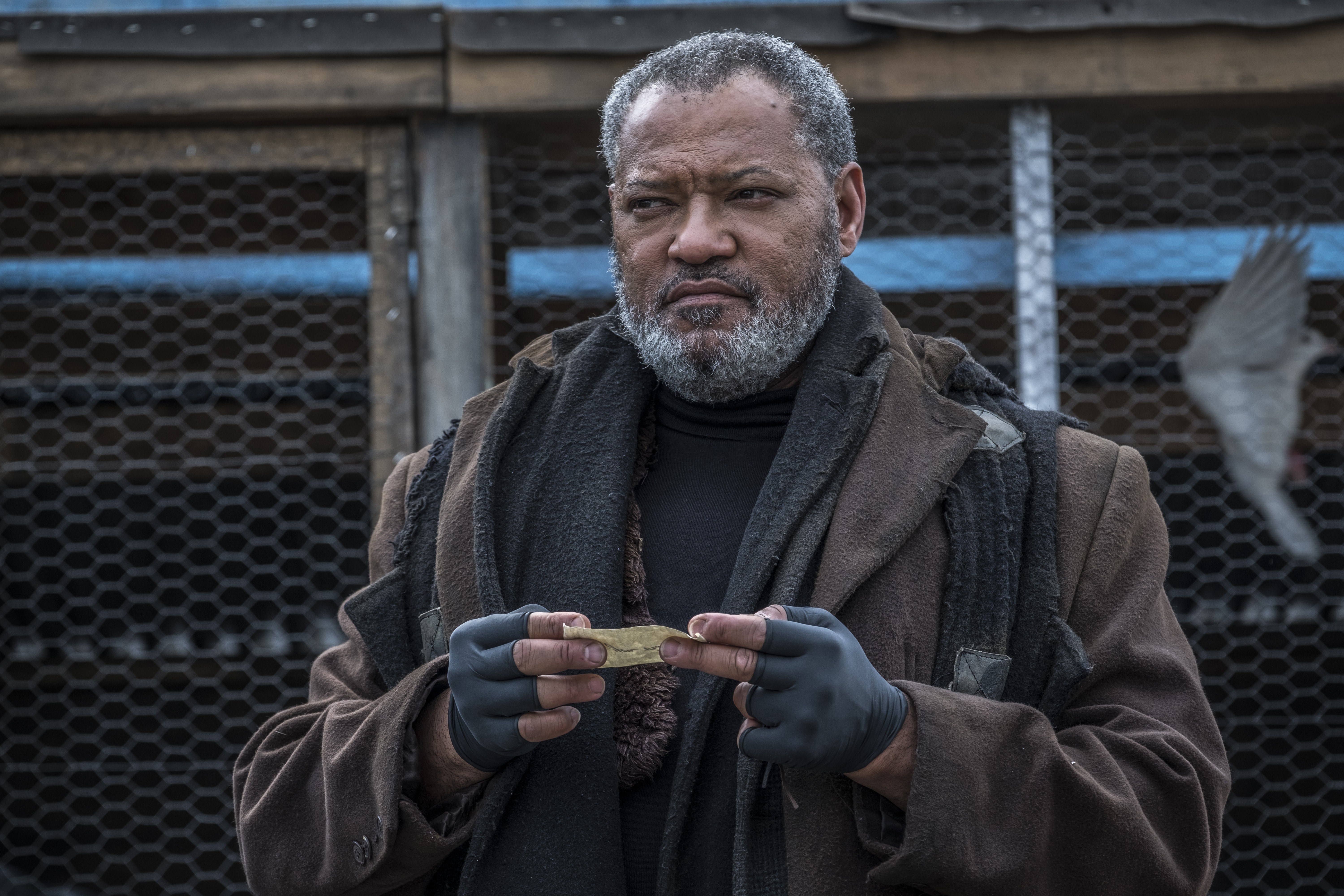 Laurence Fishburne in The Walking Dead HD Wallpaper