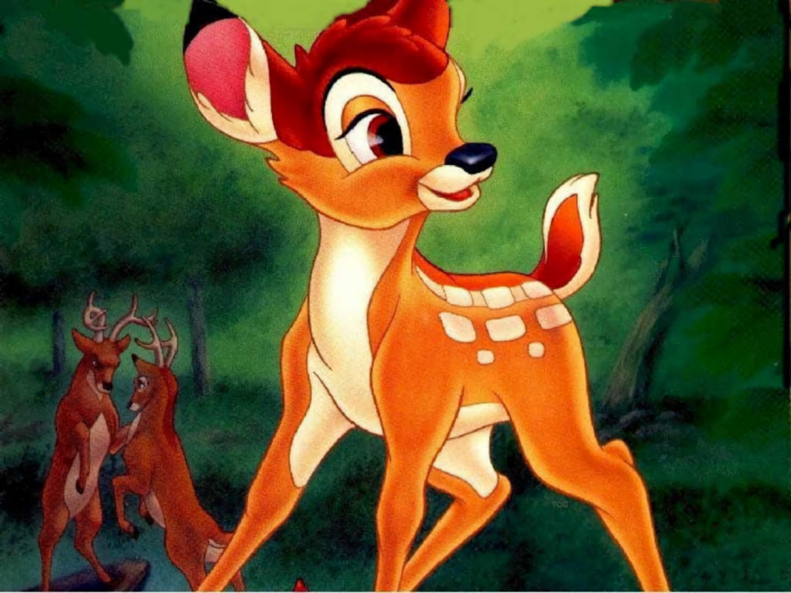 Bambi the deer in a forest HD Wallpaper